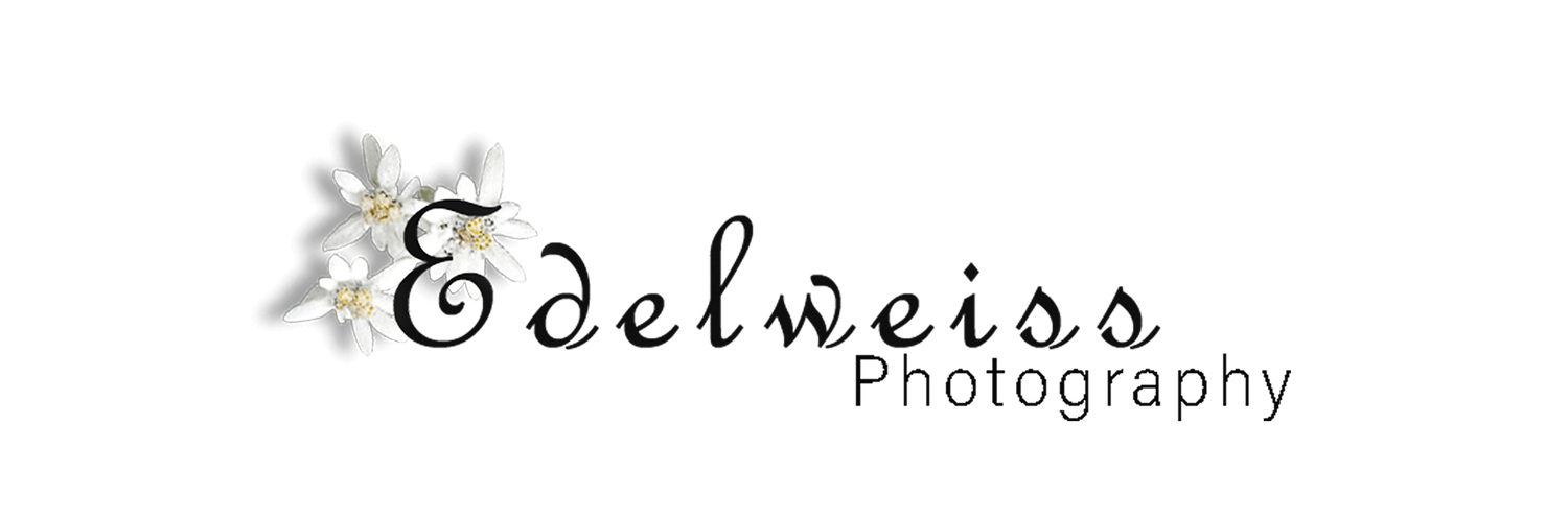 A logo for edelweiss photography with snowflakes on it