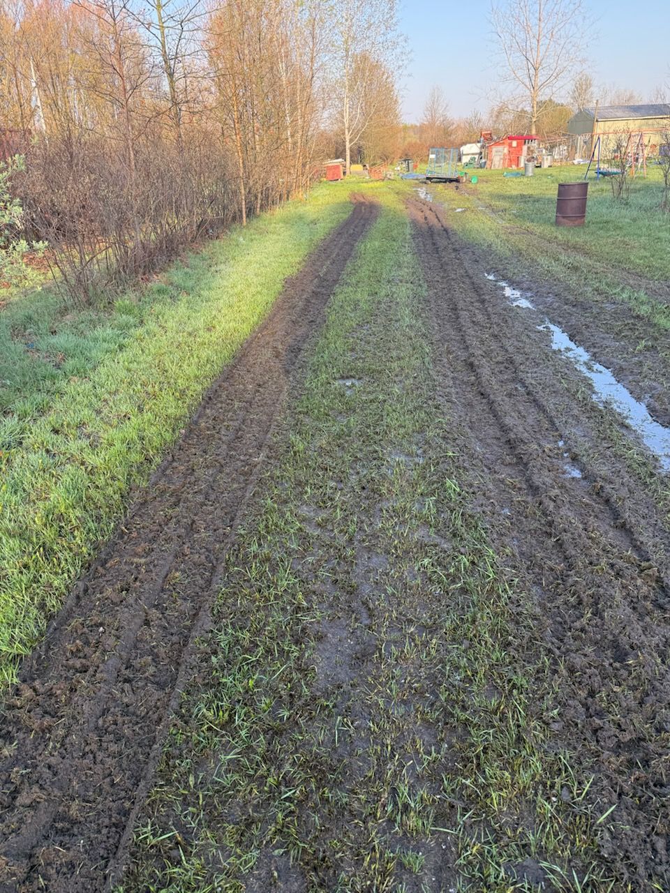 Mud tracks on a grassy dirt path beside trees and a puddle in a rural field