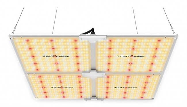 Ideal For All Growth Stages: Excellent full-spectrum- white, blue, red, and IR (3000K, 5000K, 660nm, and IR 760nm). 3000K diodes providing more reddish light and 5000K providing more blueish. The 660nm red and IR light is especially useful during bloom, where it speeds up flowering time and boosts yields. Turn your seeds into your own supply. And the light looks fairly natural, so it's good for accurately monitoring plant health.