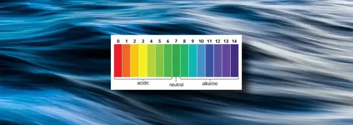 The pH of pure water is 7.0