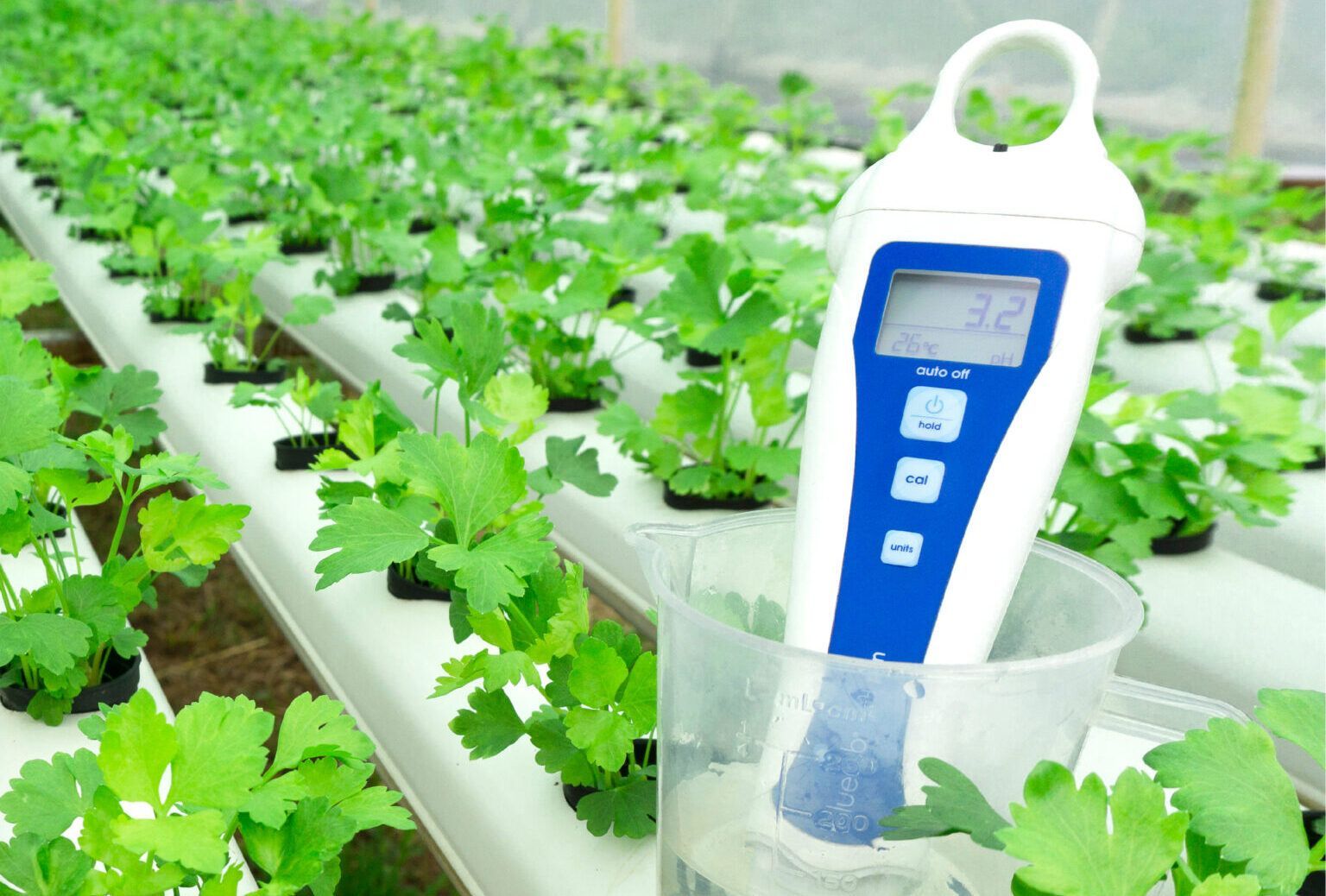 If you’ve recently noticed some leaf discoloration, mutation, or poor growth, it’s quite likely an inadequate pH range is the culprit behind these issues. pH is among the most important factors in the garden