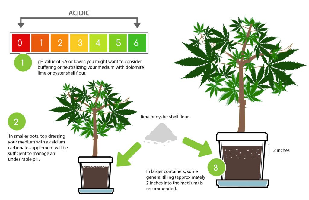 To test the pH of your plant’s run-off, start by collecting a sample. Begin by watering your plants with plain, neutral water (with a pH of 7.0) until roughly 20% of the water runs out of the bottom of your container.