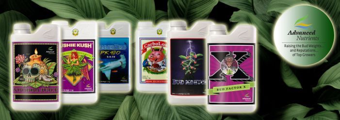 Using Advanced Nutrients for indoor hydroponics can be a great choice, as the company offers a variety of products designed to optimize plant growth in hydroponic systems. They specialize in providing nutrients that help plants thrive by offering all the essential elements they need for healthy growth.