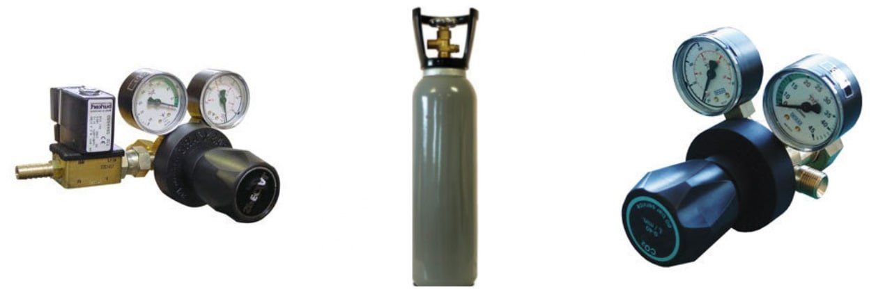 A CO2 regulator and canister can maintain the optimum carbon dioxide level for healthy plant growth