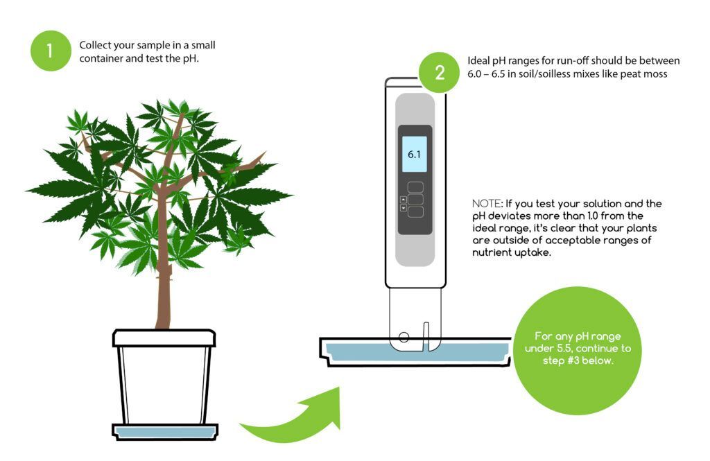 For any pH value under 5.5, consider feeding your crop at higher pH levels, or, buffer your medium with pH neutralizing compounds like calcium carbonate, dolomite lime, or oyster shell flour.