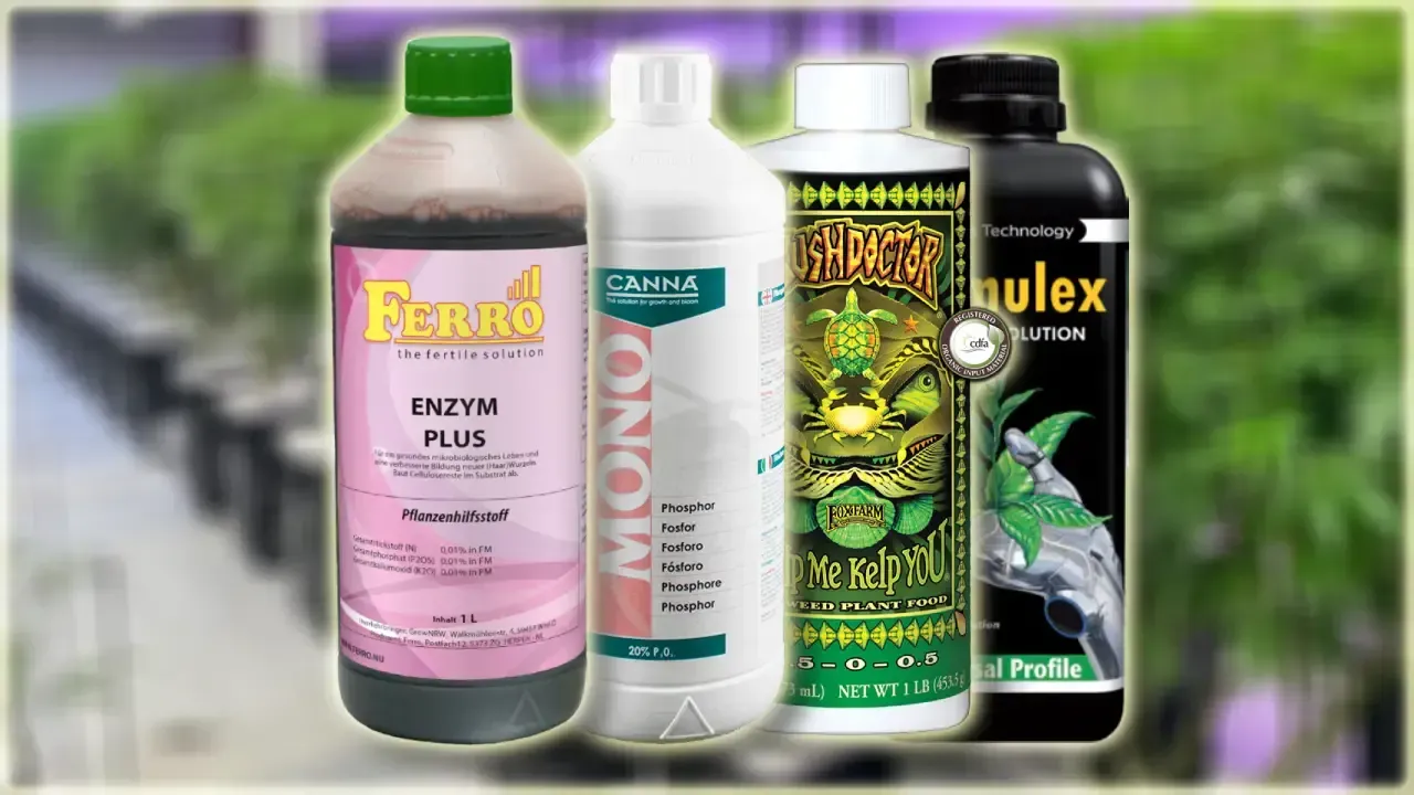 A good growth promoter for young hydroponic plants typically enhances root development, nutrient uptake, and overall plant vigour without causing nutrient burn or imbalance. Here are a few commonly used and effective growth promoters:
