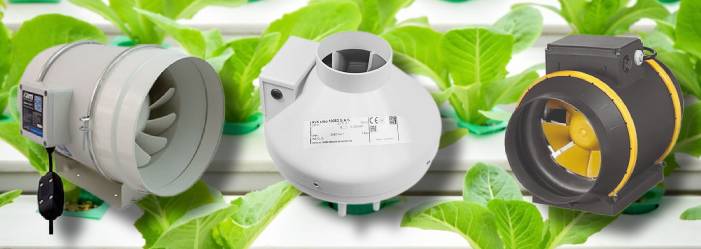 Fans running 24/7 in a hydroponic plant grow room reduce temperature, humidity, bud rot and mildew