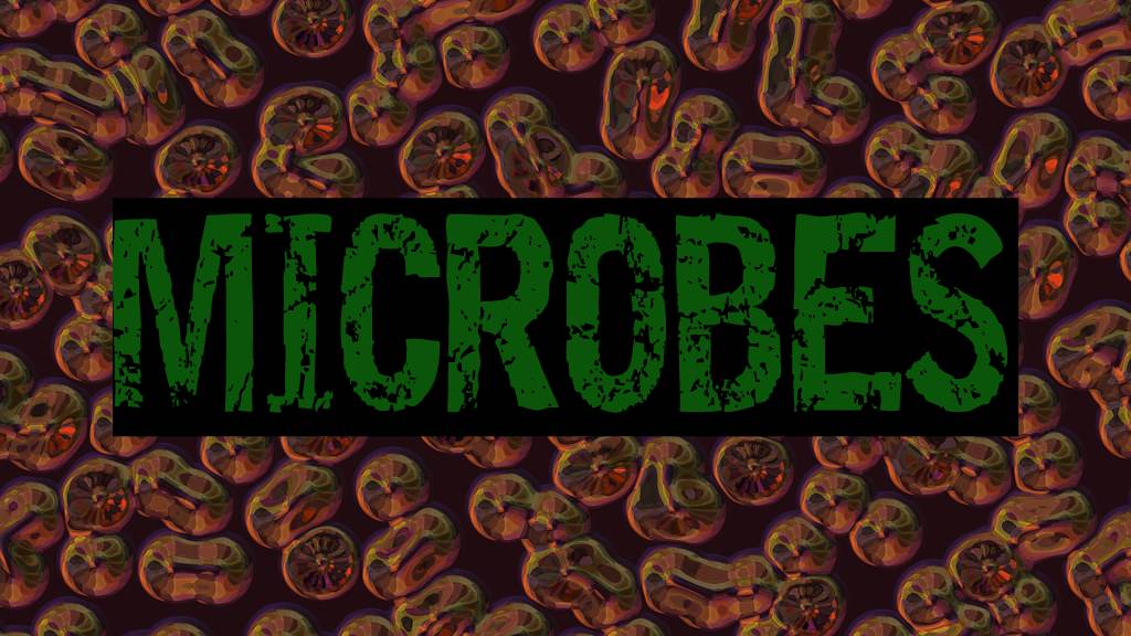 Check out the products (in a new window) This microorganisms consortium has great benefits for the plant rhizosphere, increasing the useful surface of the roots. This translates to a higer and better absorption of nitrogen, phosphorus, potassium, and micro nutrients during all the development stages of the plant. Moreover, the chosen microorganisms are great promoters of phytohormones, like indole-3-acetic acid and gibberellins.