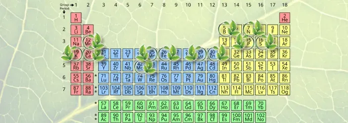 Hydroponic systems rely on a balanced nutrient solution to ensure healthy plant growth, as the plants don’t have access to soil. These nutrients are typically dissolved in water and delivered to the plants' roots. The essential nutrients for hydroponic plant growth can be divided into macronutrients and micronutrients: