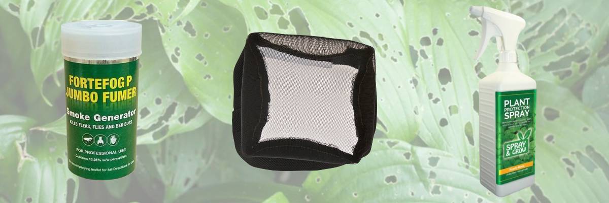 Bug barriers and various pest control products can help prevent or eliminate things such as spider mites from a growroom