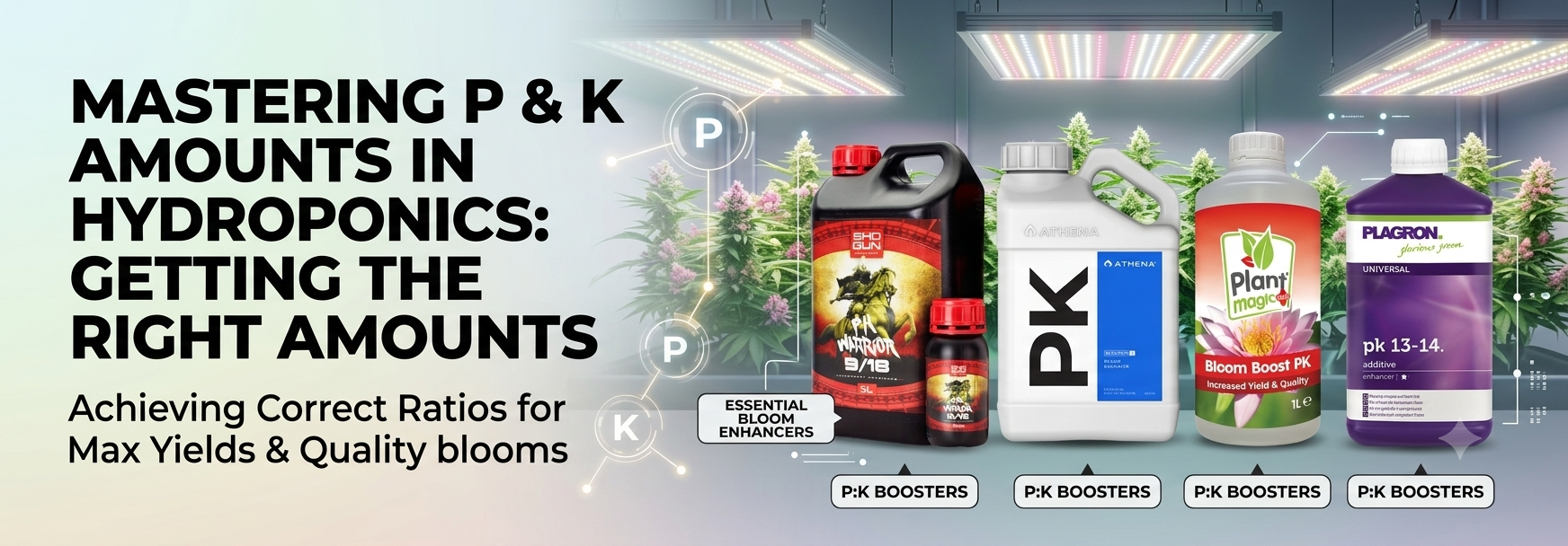 Producing large, dense, resin-rich flowers is the goal of every hydroponic grower. While environmental factors such as lighting, temperature, humidity, and CO₂ all contribute to success, the nutrient programme you choose has one of the biggest impacts on flower development.