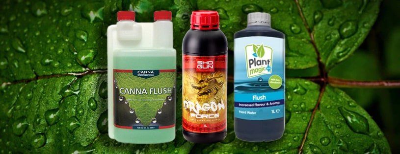 Should you ditch the nutrients during the final stages of your plant growth?