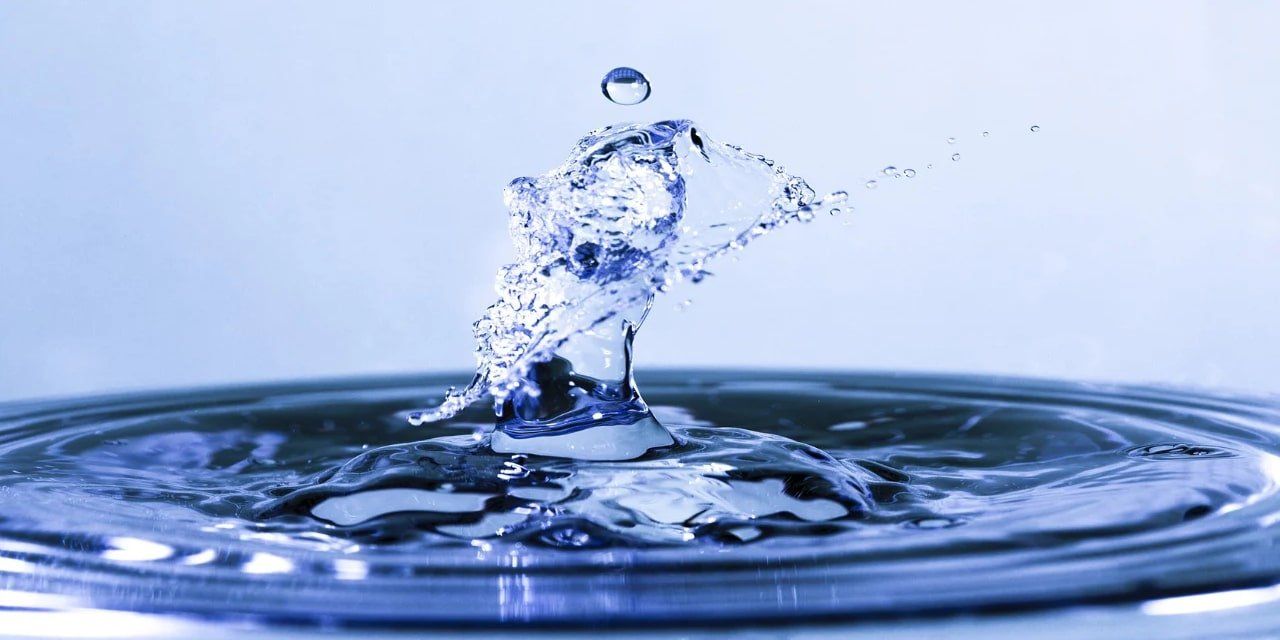 Water is the foundation for plant growth Water is the foundation for plant growth