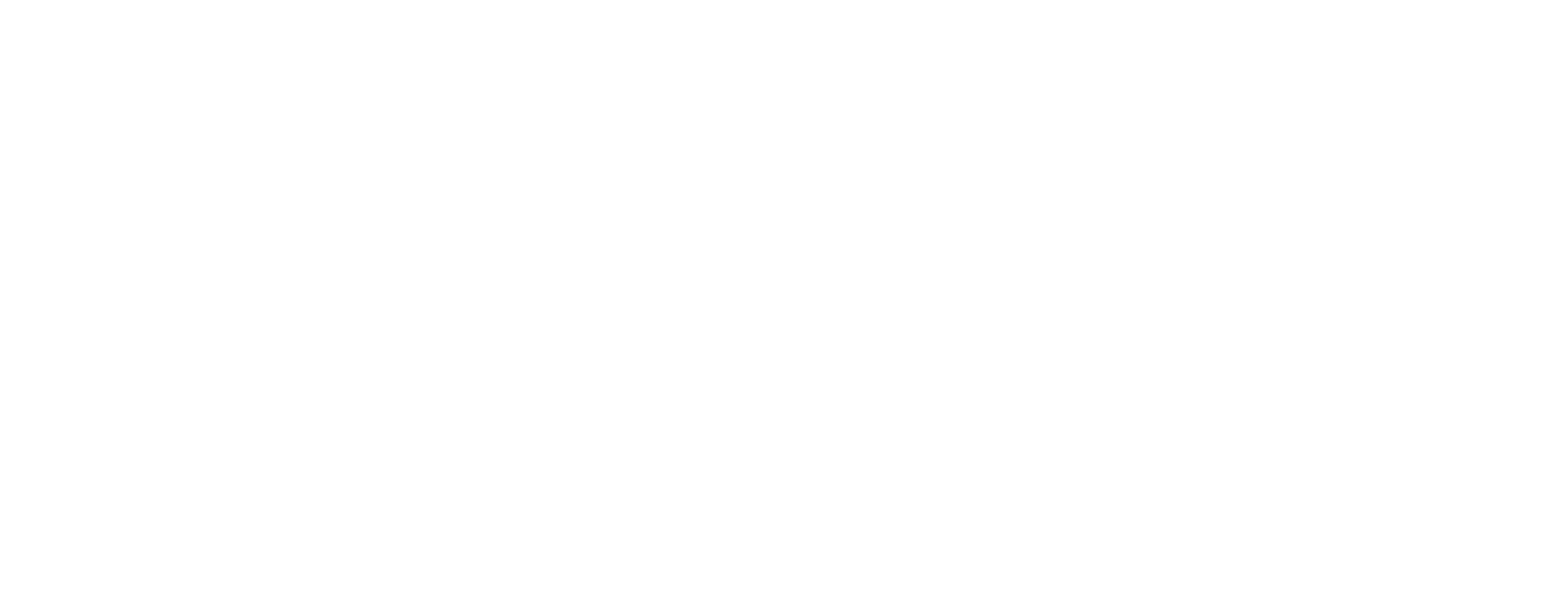 Company Logo - Footer