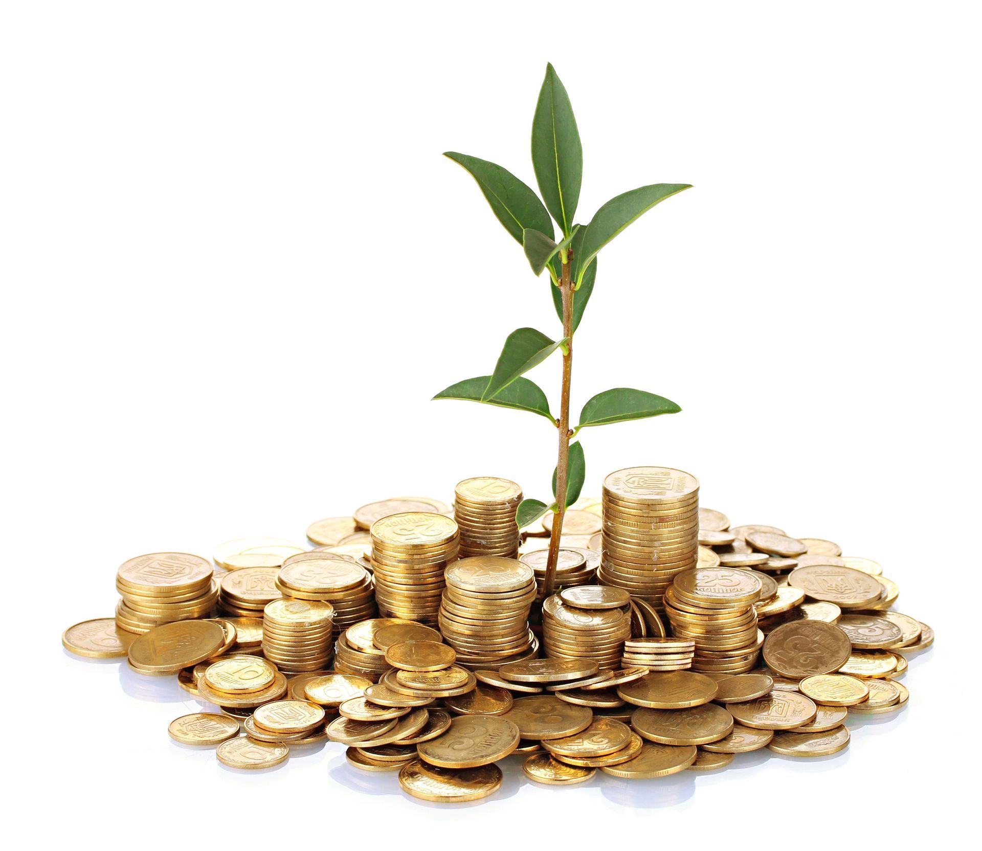 A plant is growing out of a pile of gold coins as a Illustration of cash value growth in a universal life policy