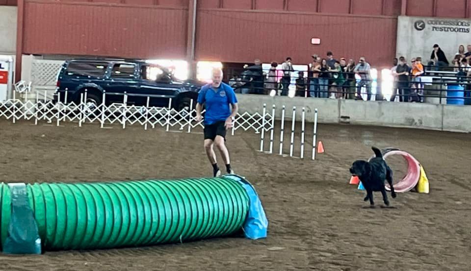 A black dog runs an agility course towards a hoop, handler runs alongside. A green tunnel and weave poles are in the arena.