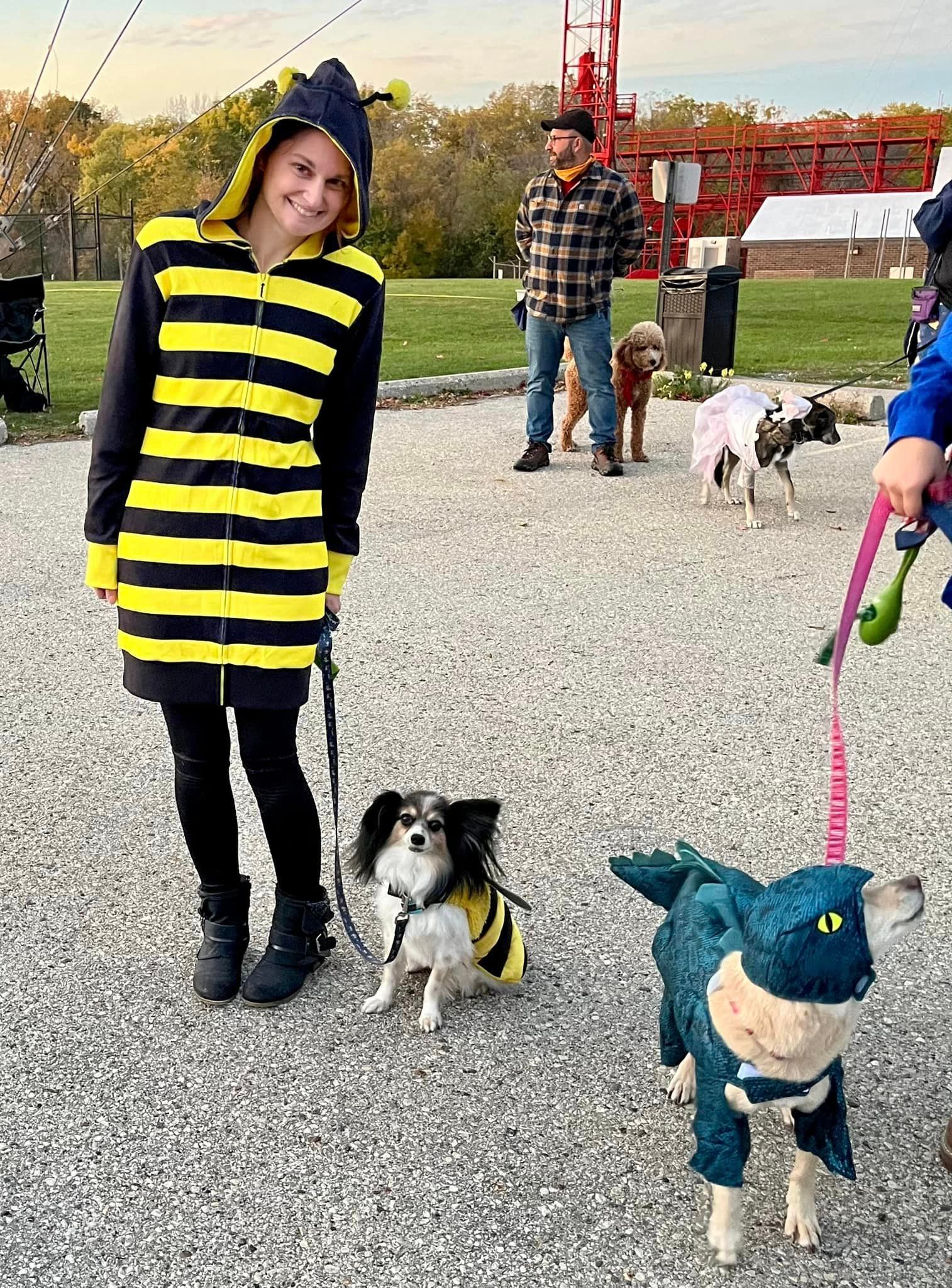A person in a bee costume stands with a dog also in a bee costume. Another dog is dressed as a dinosaur, all on gravel. People in the background.