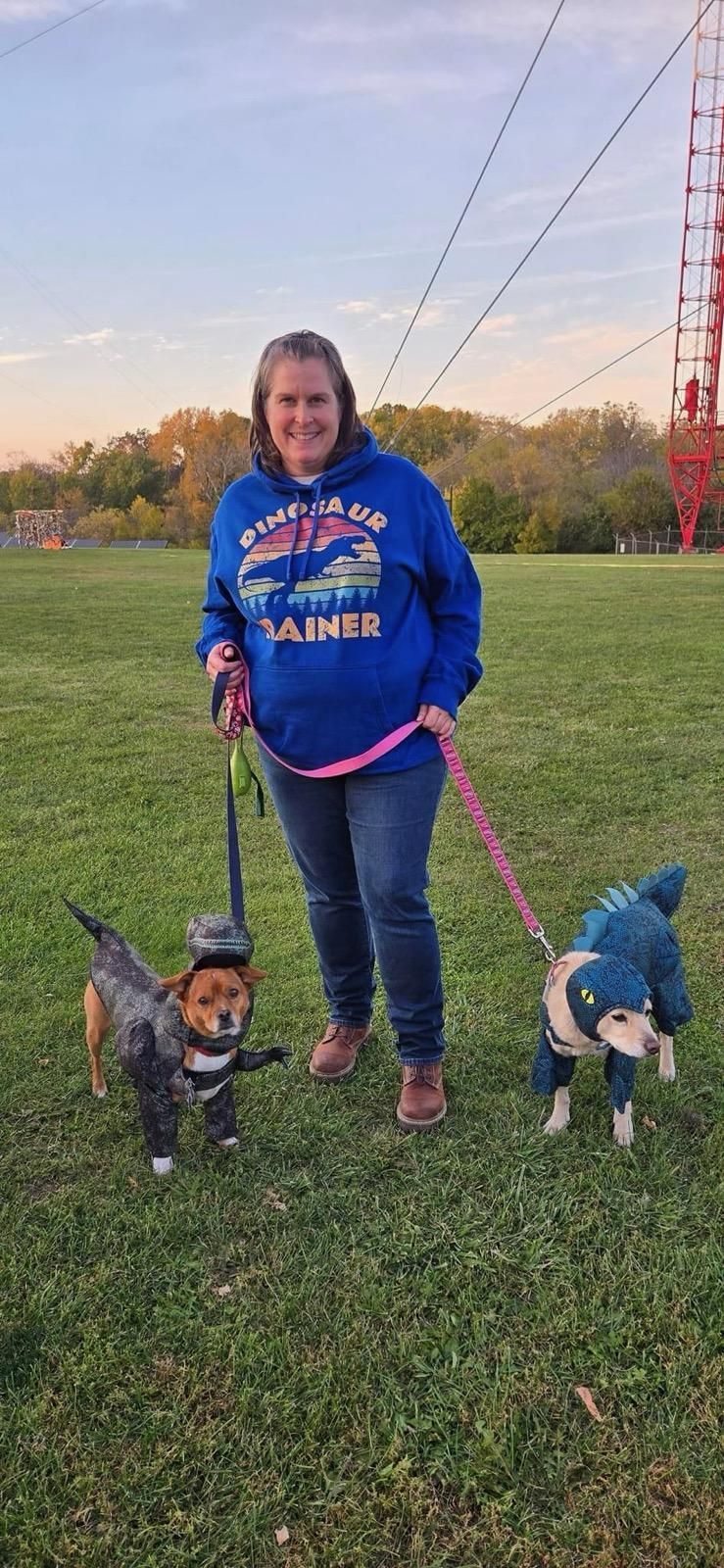 A woman in a blue hoodie walks two small dogs dressed in costumes on a grassy field.