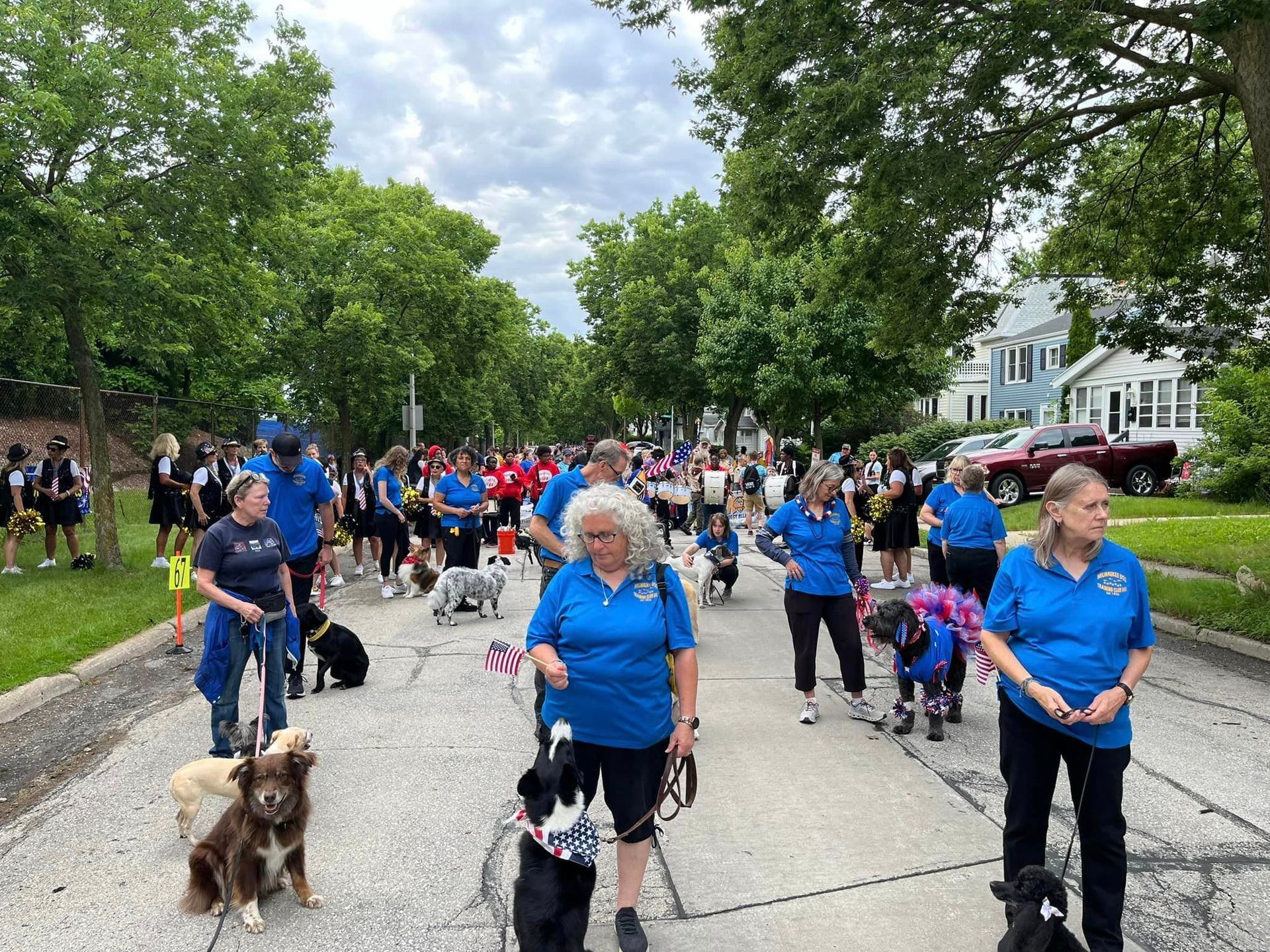 People and dogs in blue shirts walking down a tree-lined street. Parade or event in progress.