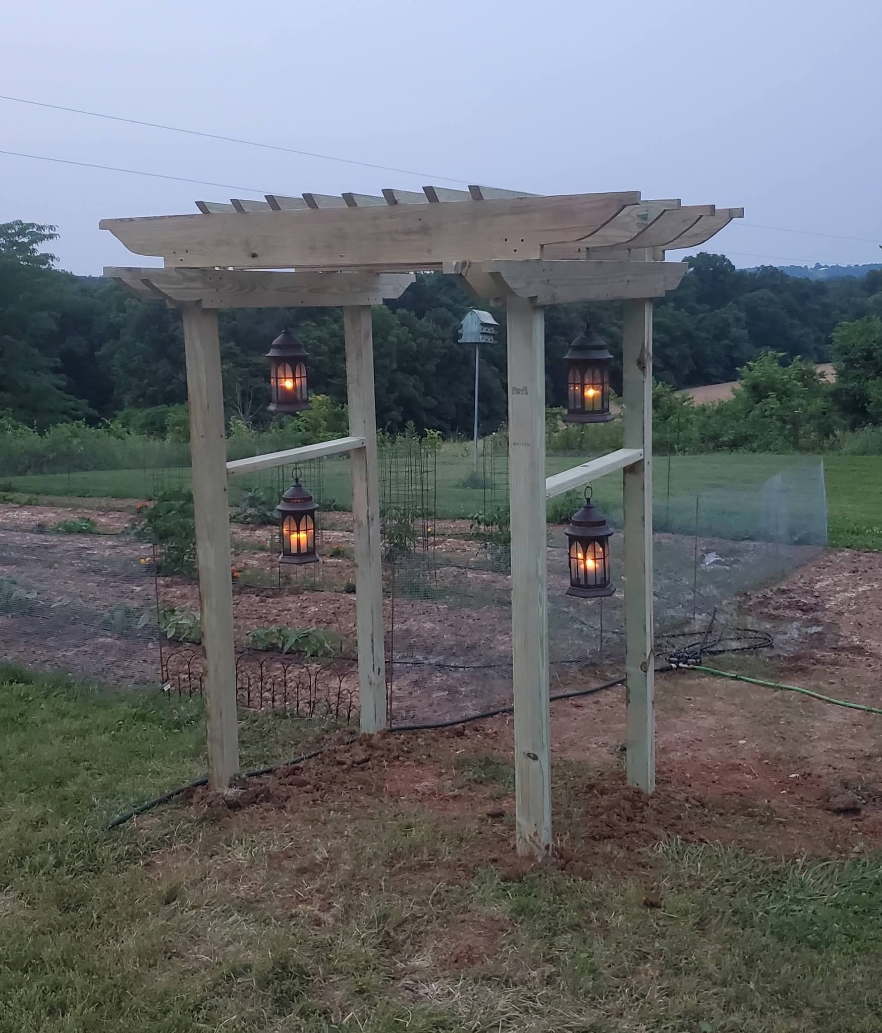 Wooden pergola with hanging lanterns in a grassy garden at dusk