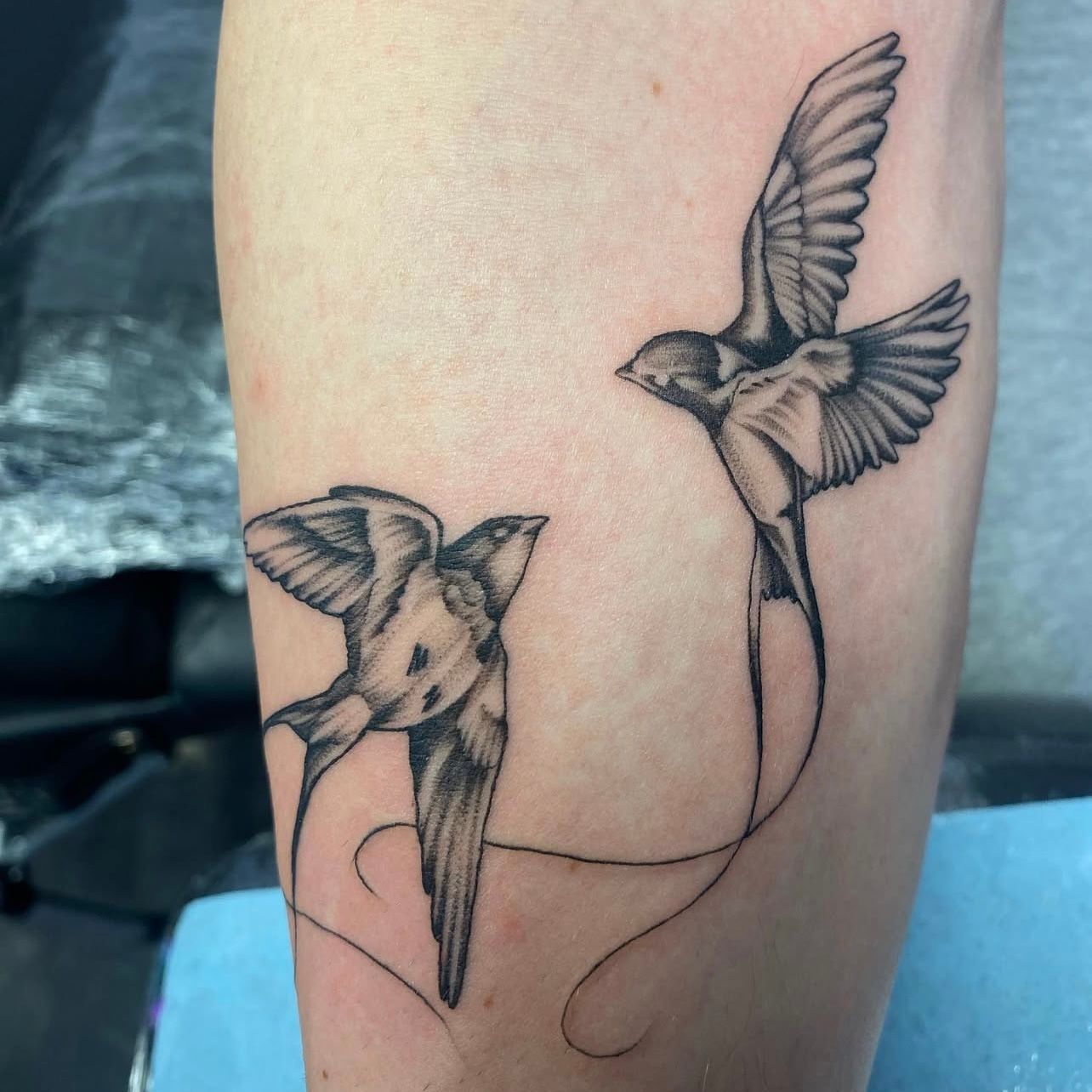Two black ink swallow tattoos, one in flight, connected by a fine line on an arm.