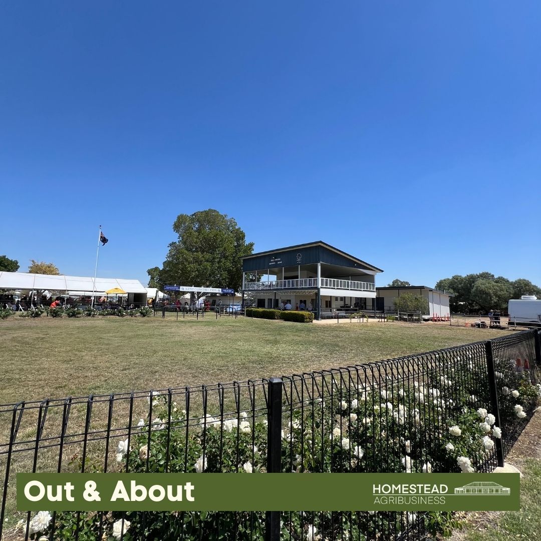 Rural property with a two-story house, flag, white tents, and black fence under a clear blue sky.