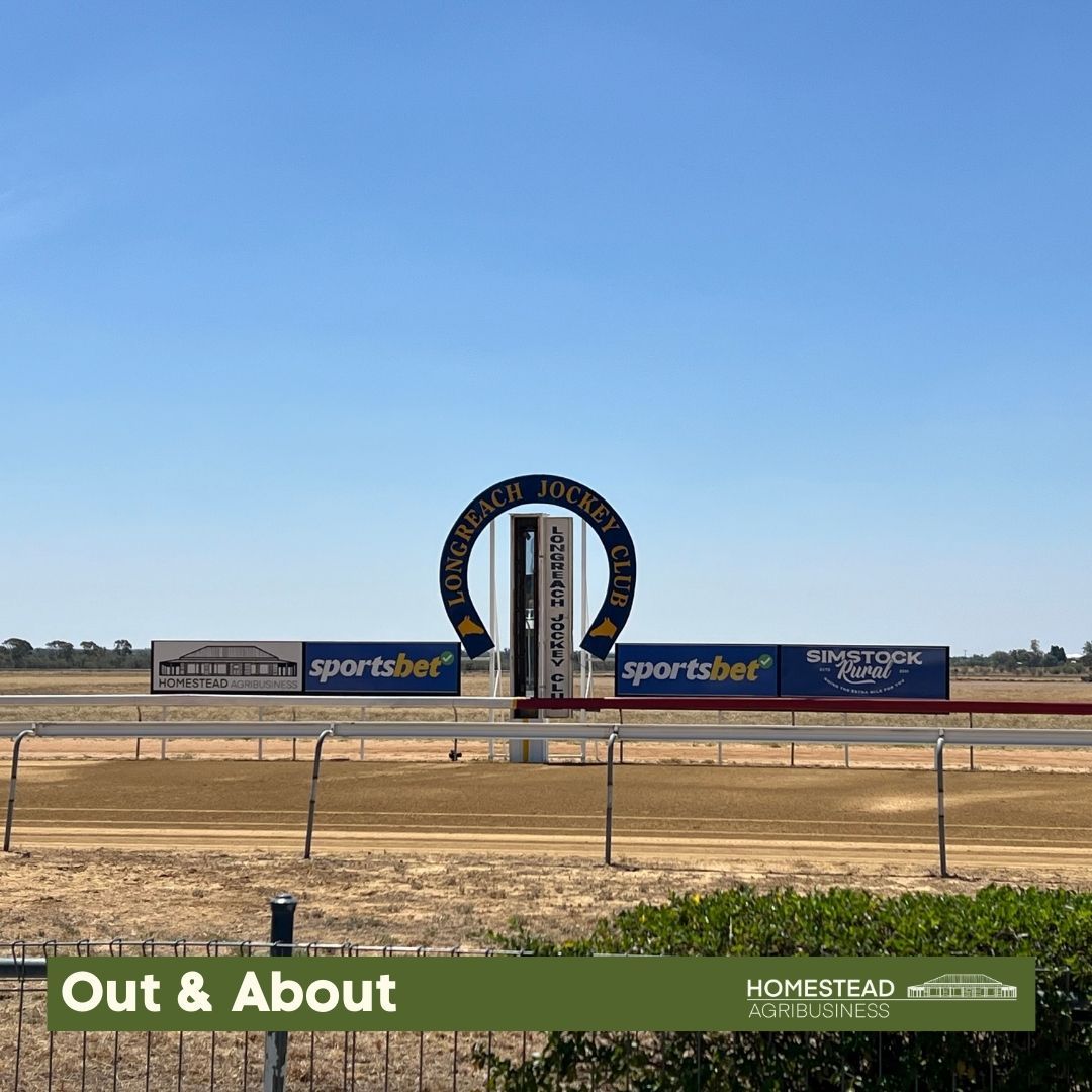 Dirt racetrack entrance arch with sponsor banners under a clear blue sky in an open field