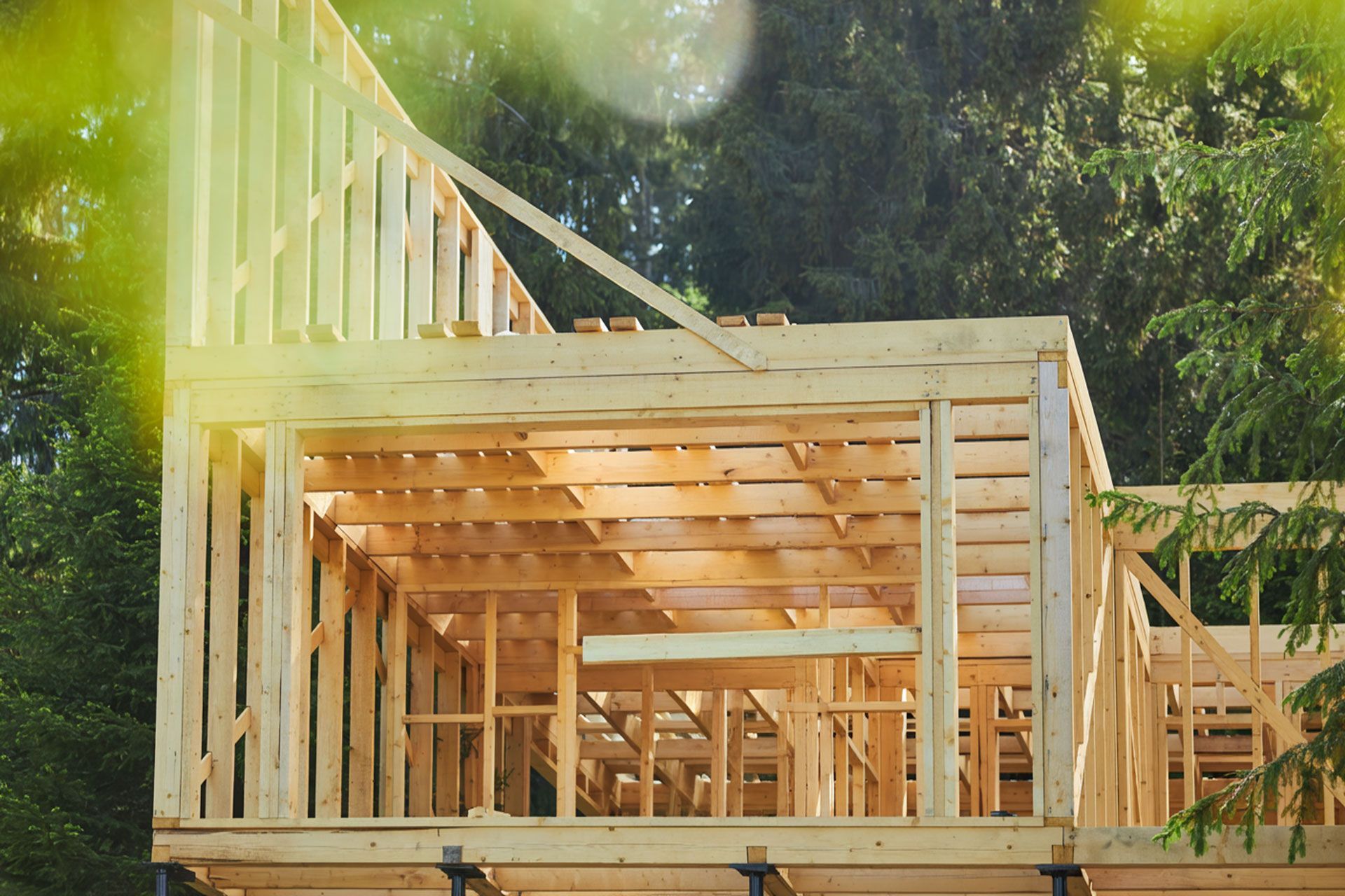 Wood-framed house under construction with exposed beams in a sunny, wooded area