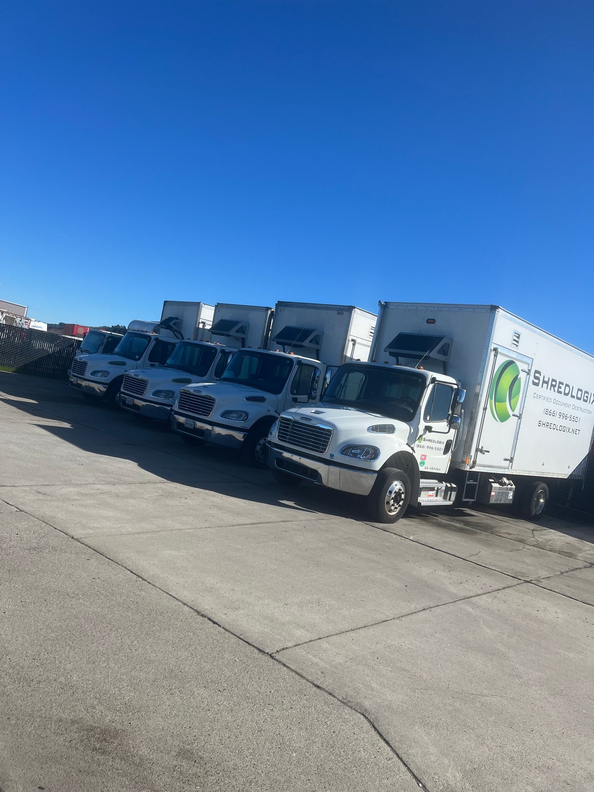 A row of white trucks are parked in a parking lot.