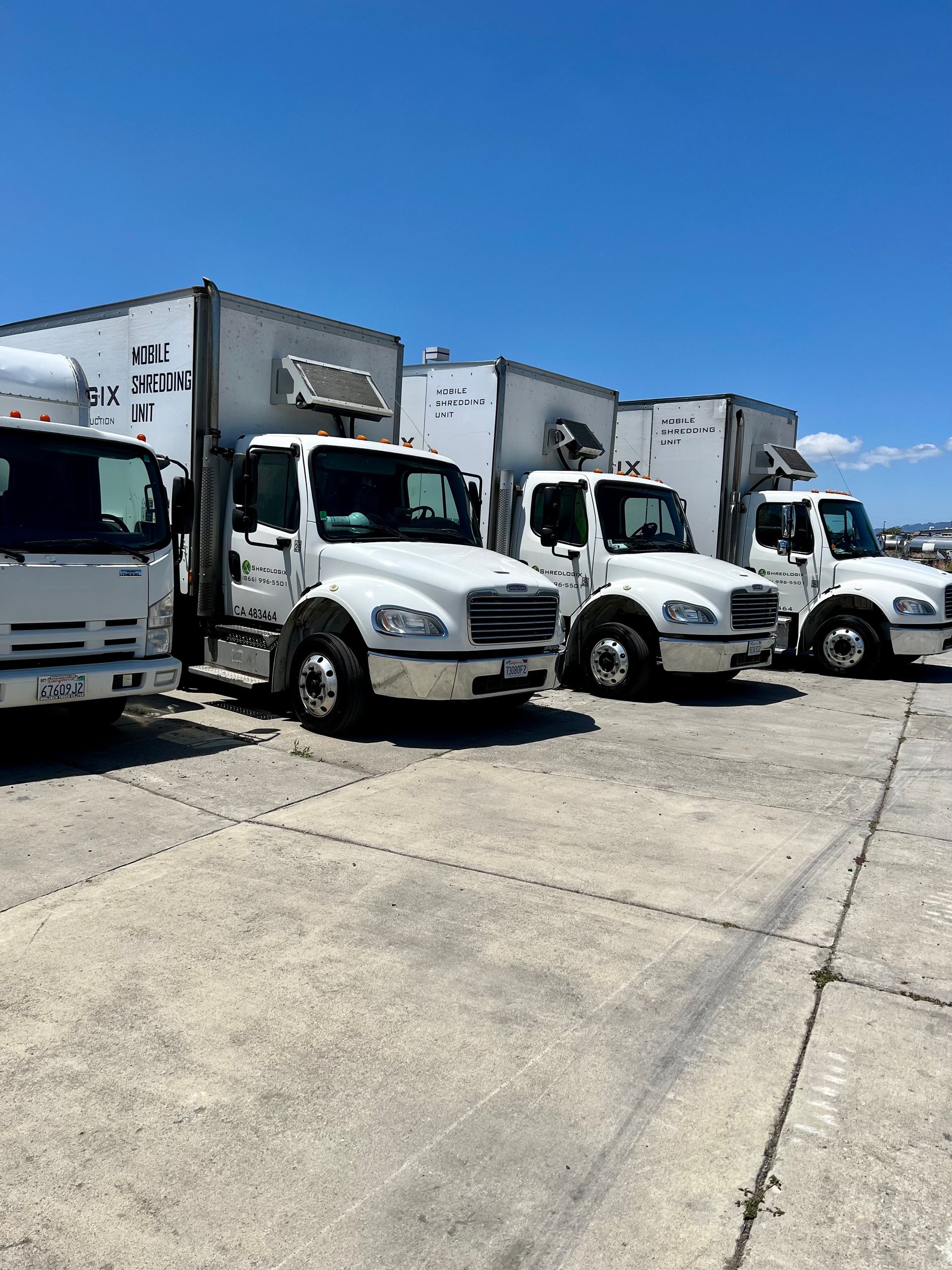 A row of white trucks are parked in a parking lot