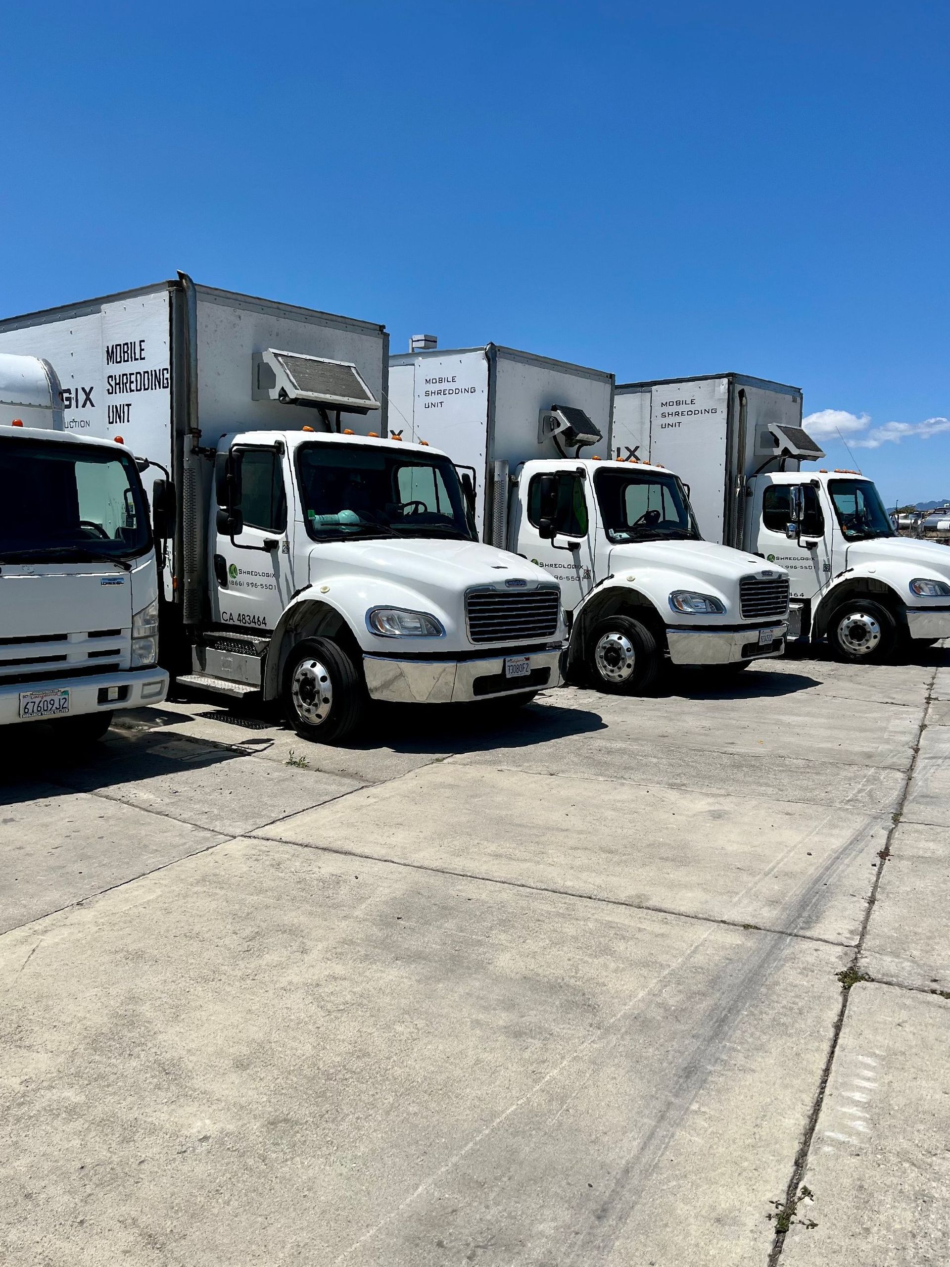 A row of white trucks are parked in a parking lot.