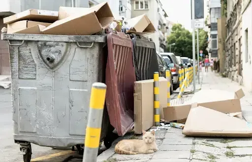 Overflowing bins with cardboard waste on a city sidewalk, highlighting the need for residential shredding.