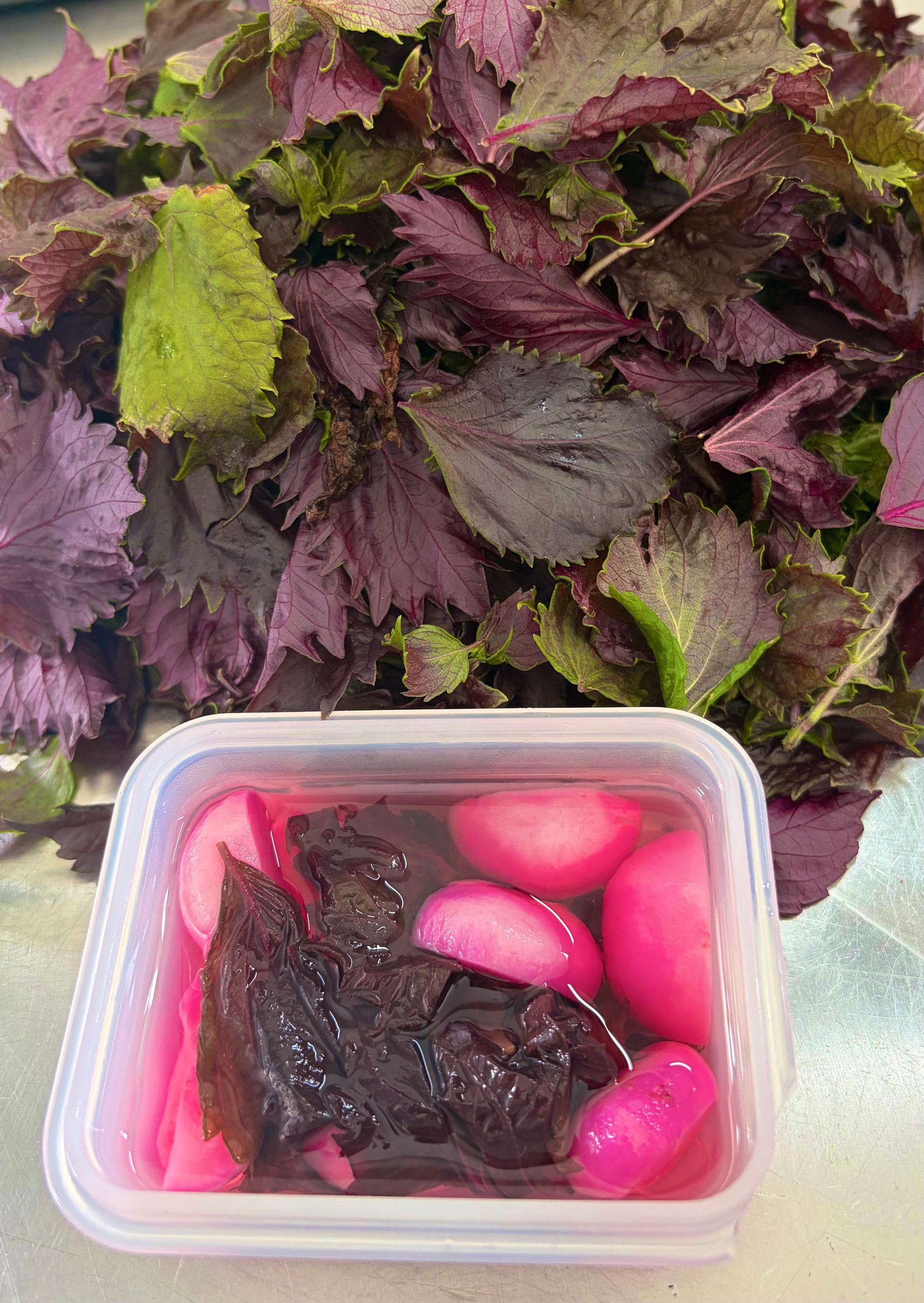 meiknolletjes in sushi-azijn en rode shiso bladeren