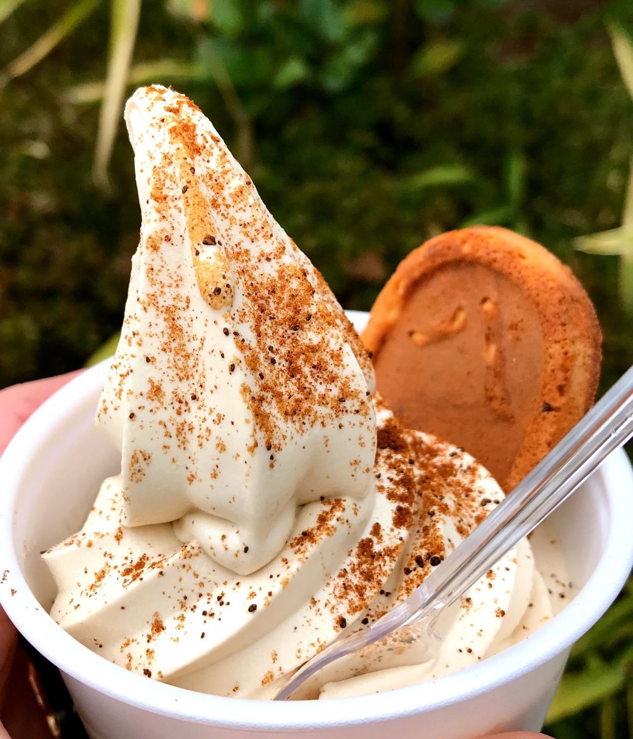 miso soft ice with miso powder and miso cookie