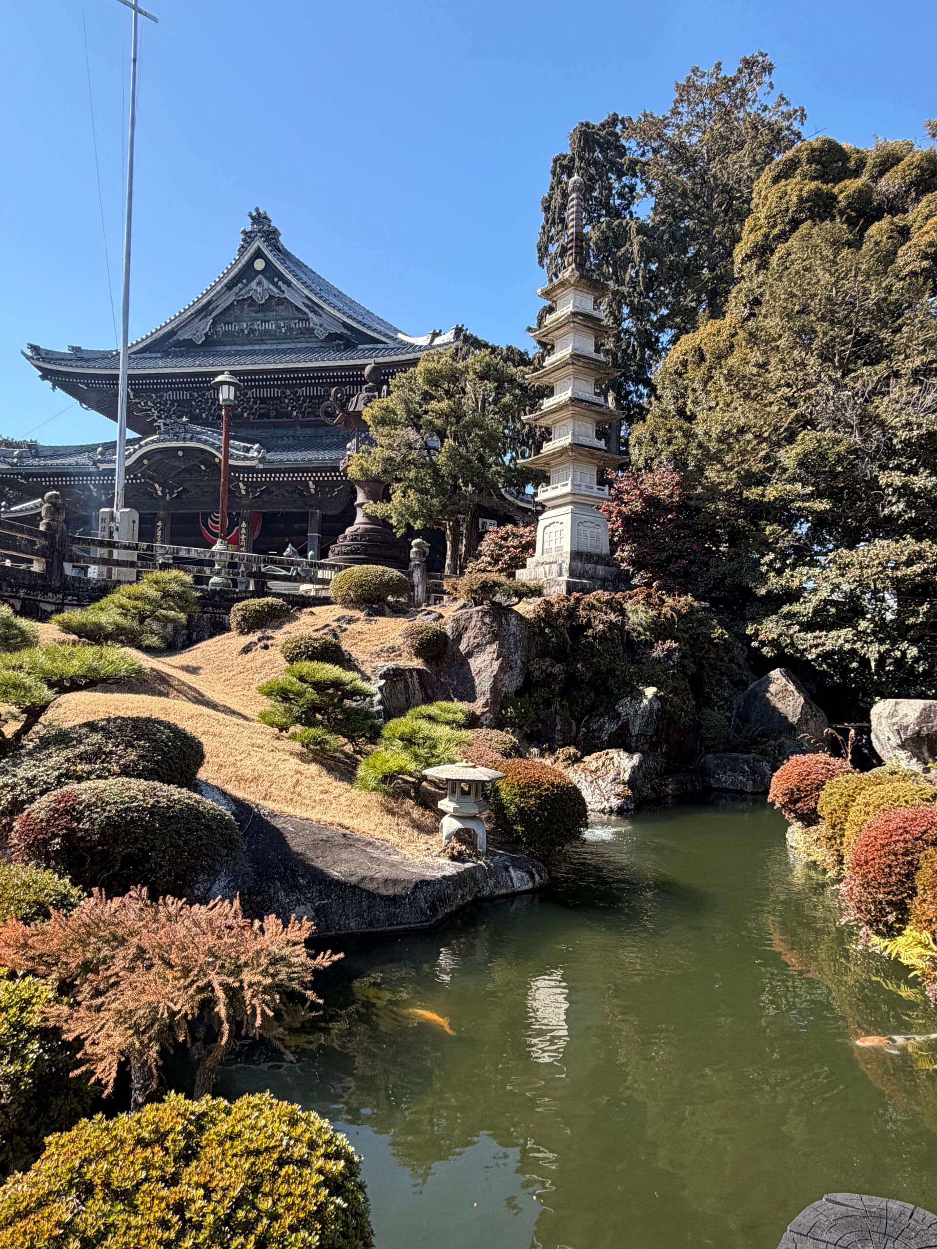 pond with koi at inari complex in  toyokawa
