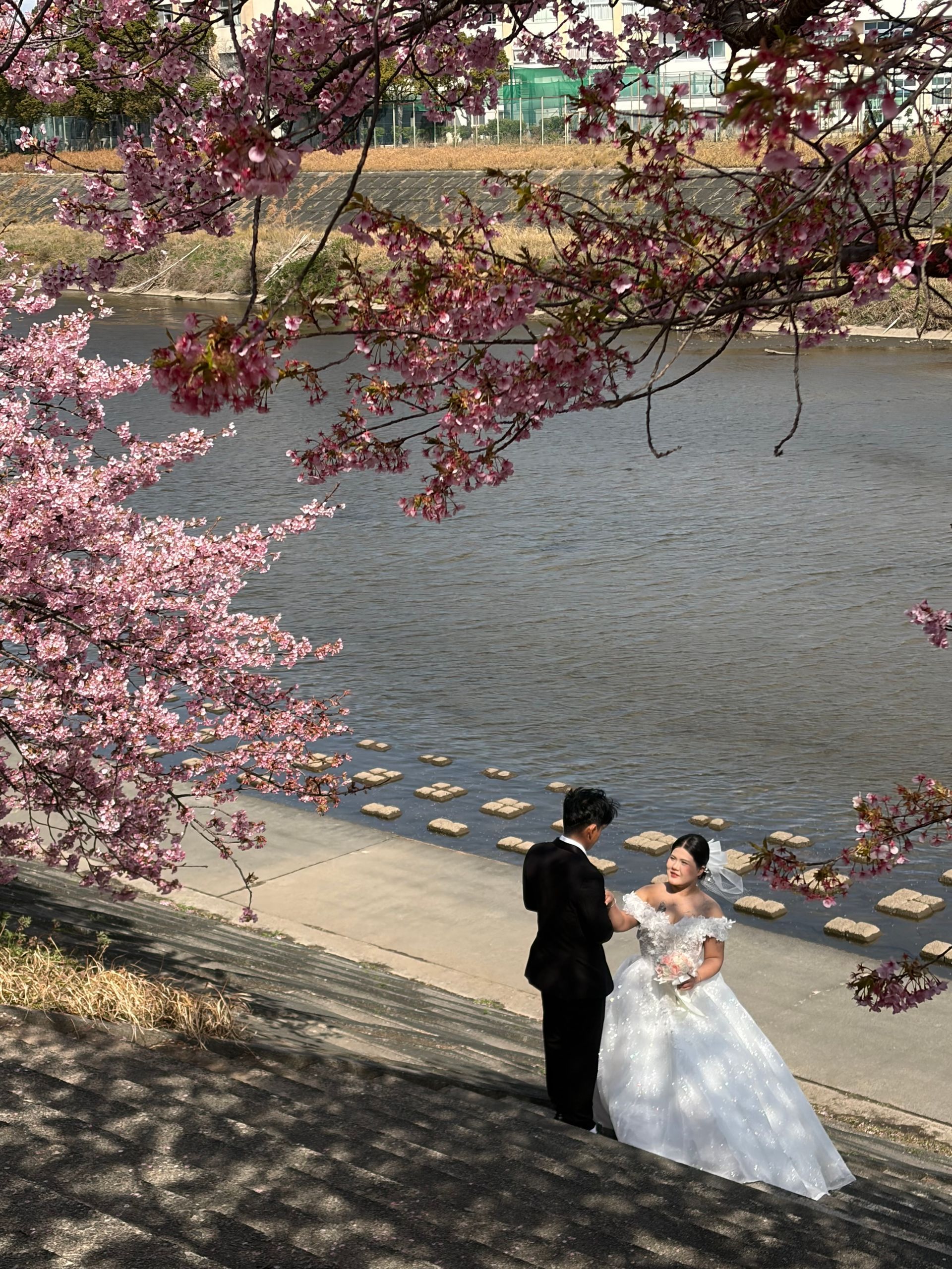 kawazu zakuta Otogawa river Okazaki with bride