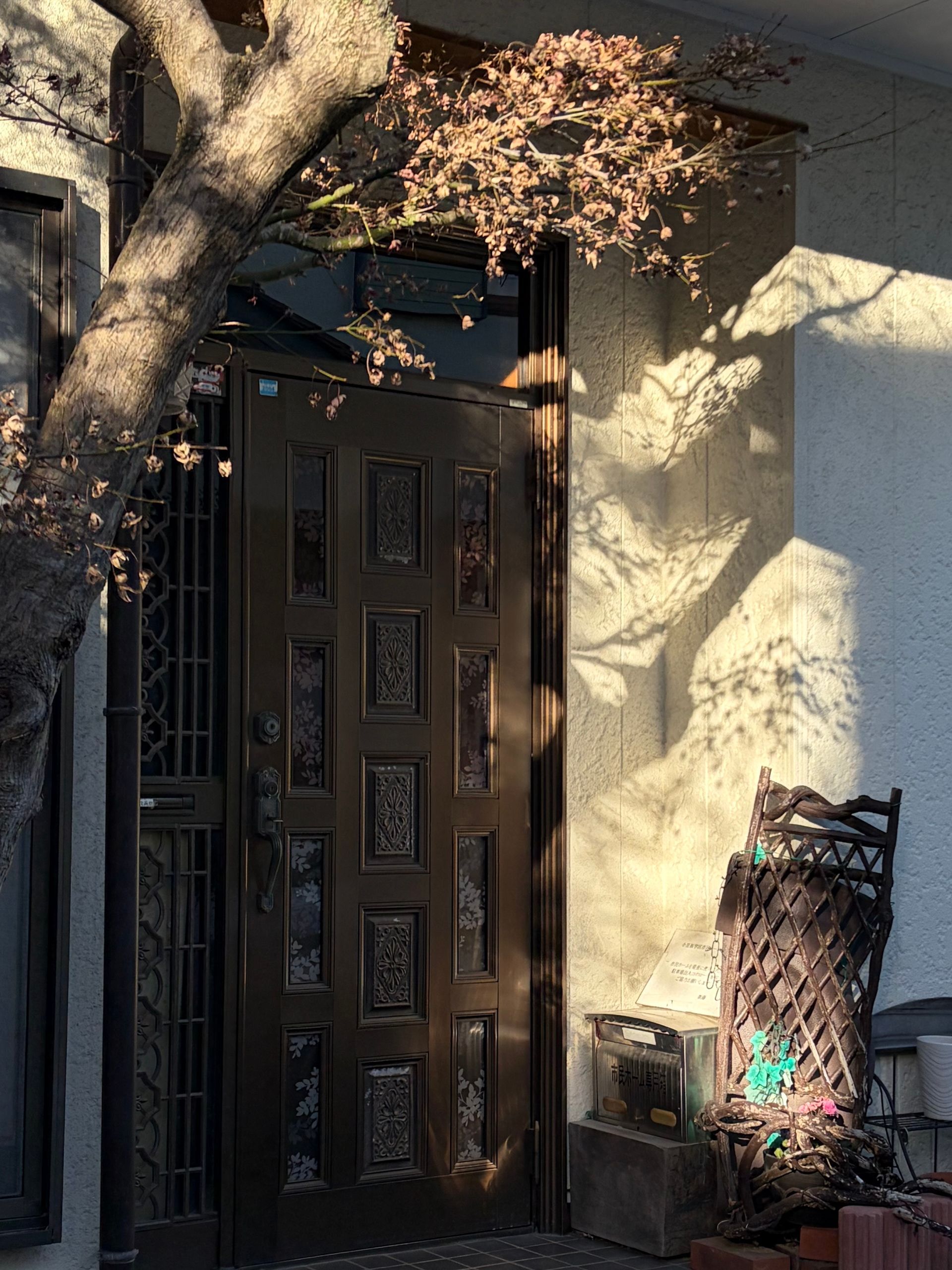 romantic entrance to a house with fake greenery  and worn fence