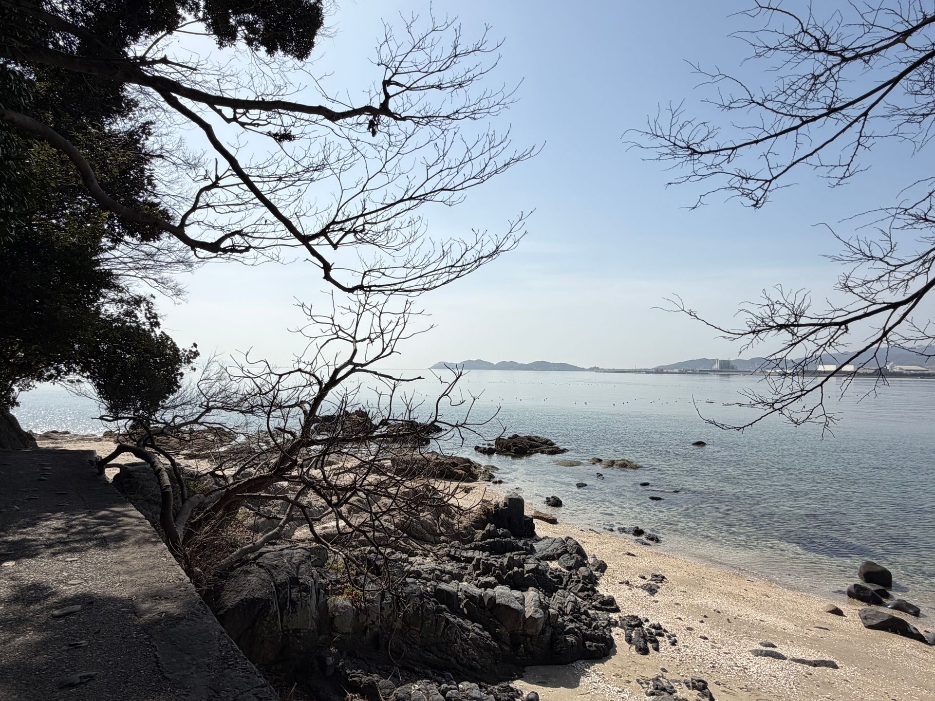 Takeshima Gamagori