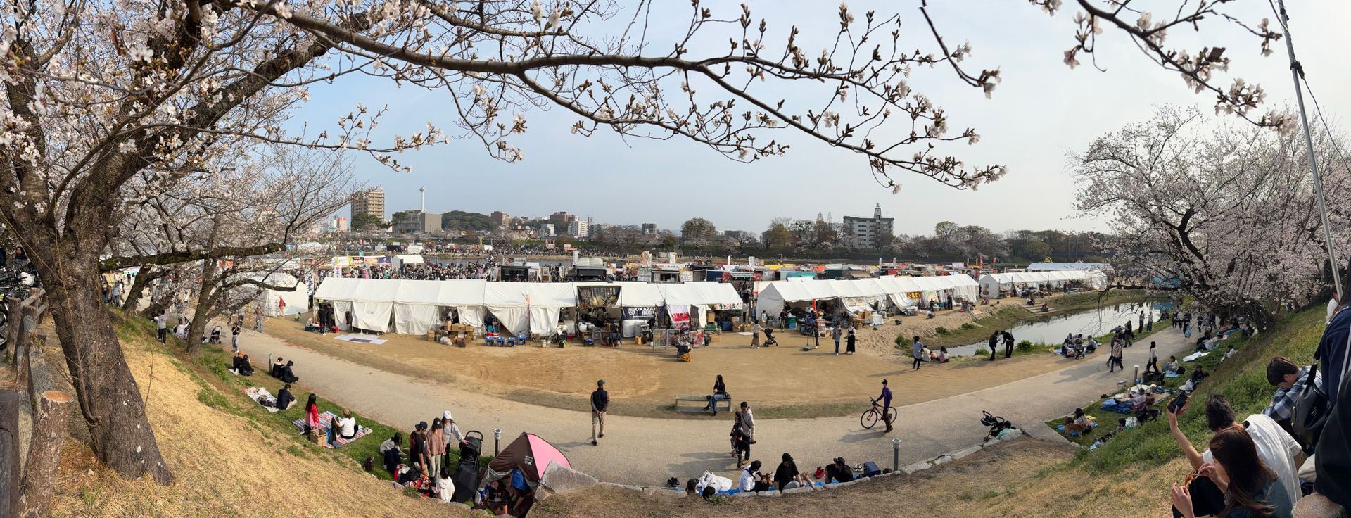 Sakura matsuri bij Okazaki kasteel met eetstalletjes en Cosplay