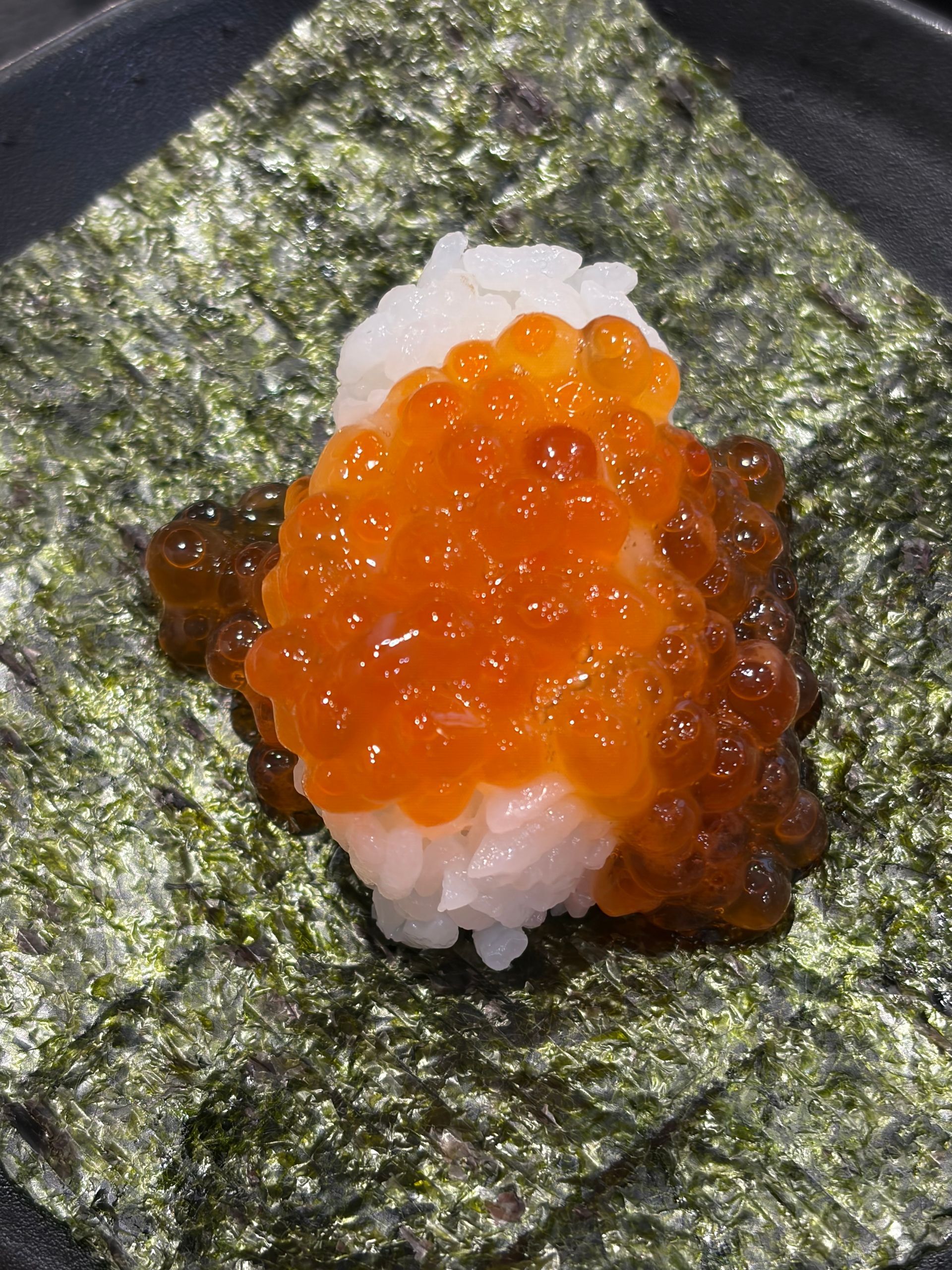 nori and ikura