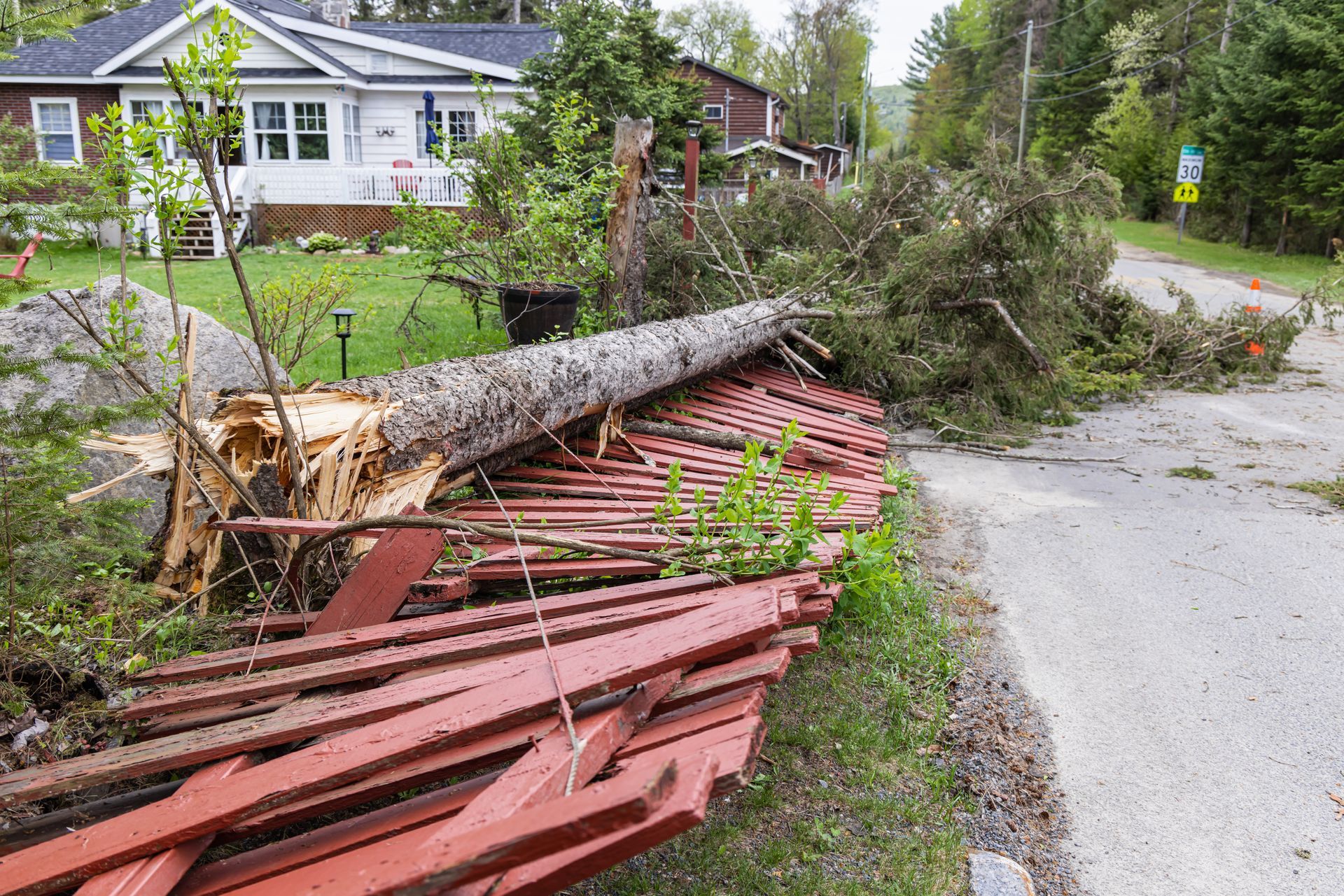 A tree has fallen onto a red fence after a storm, blocking the road.