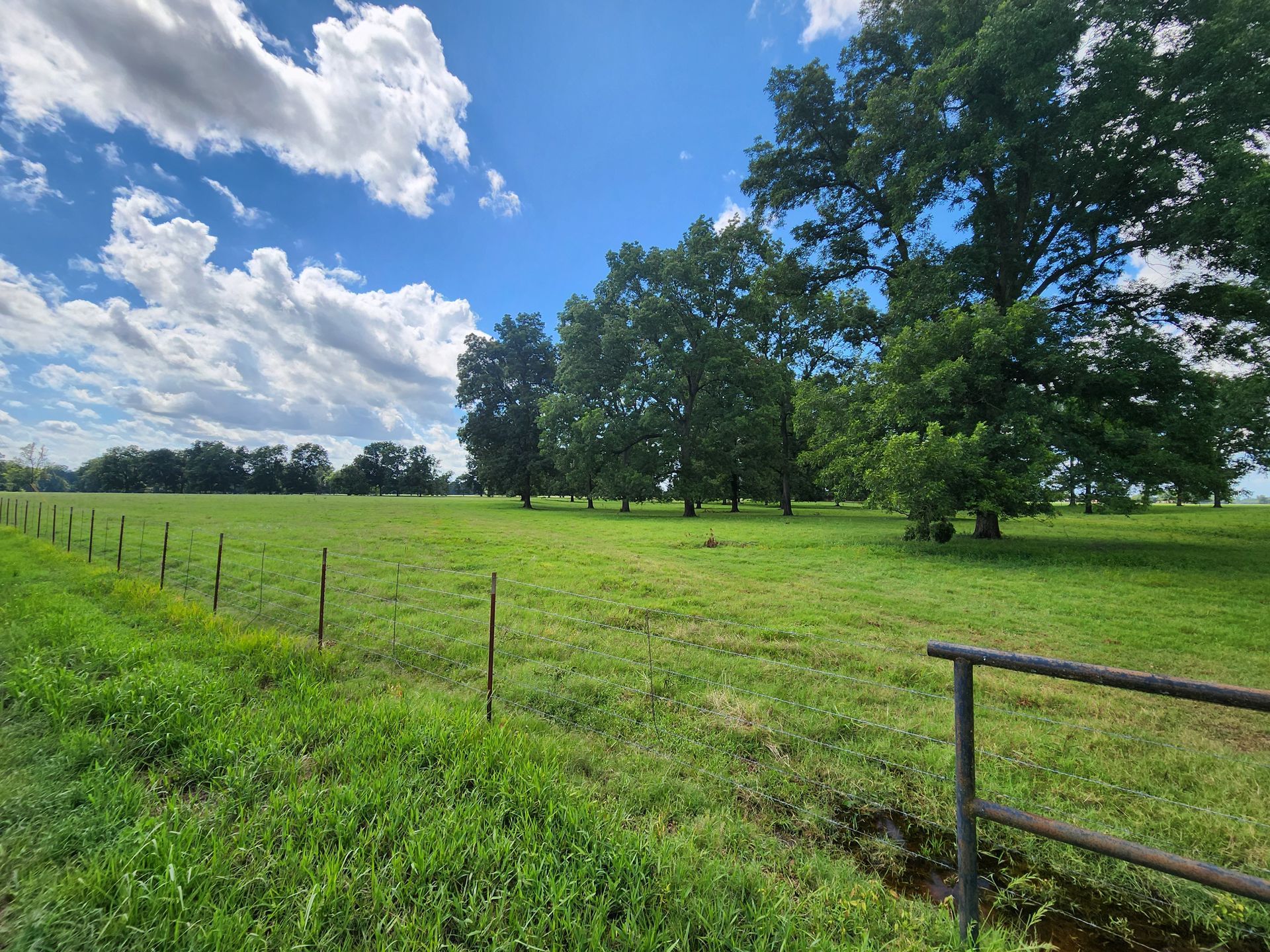 A large grassy field with trees in the background and a fence in the foreground.