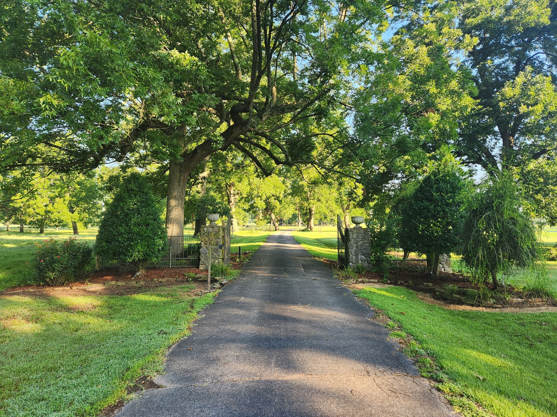 A dirt road going through a lush green field with trees on both sides.