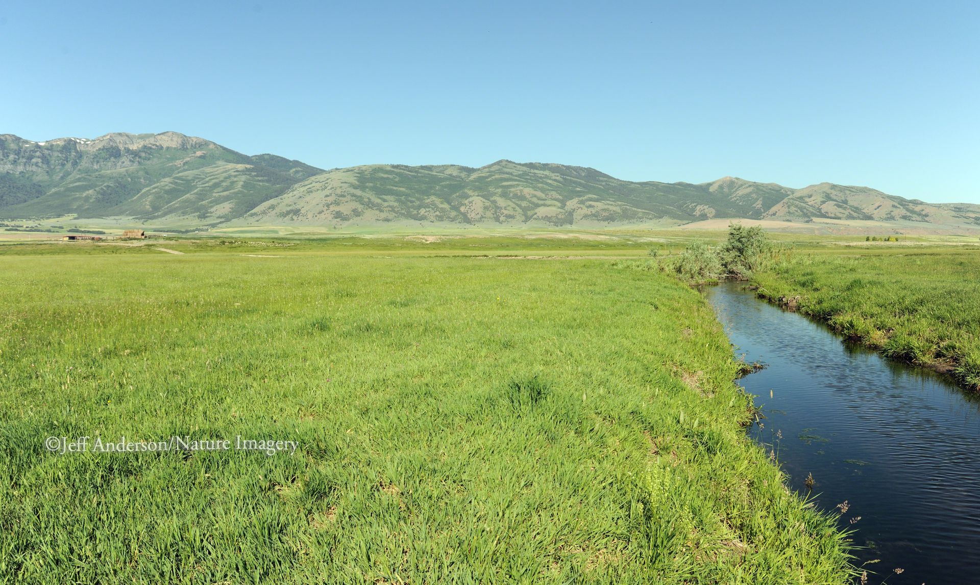 A stream flows through a lush green meadow towards rolling mountains under a clear blue sky.