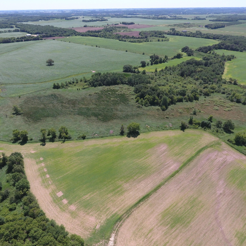 An aerial view of a lush green field surrounded by trees.