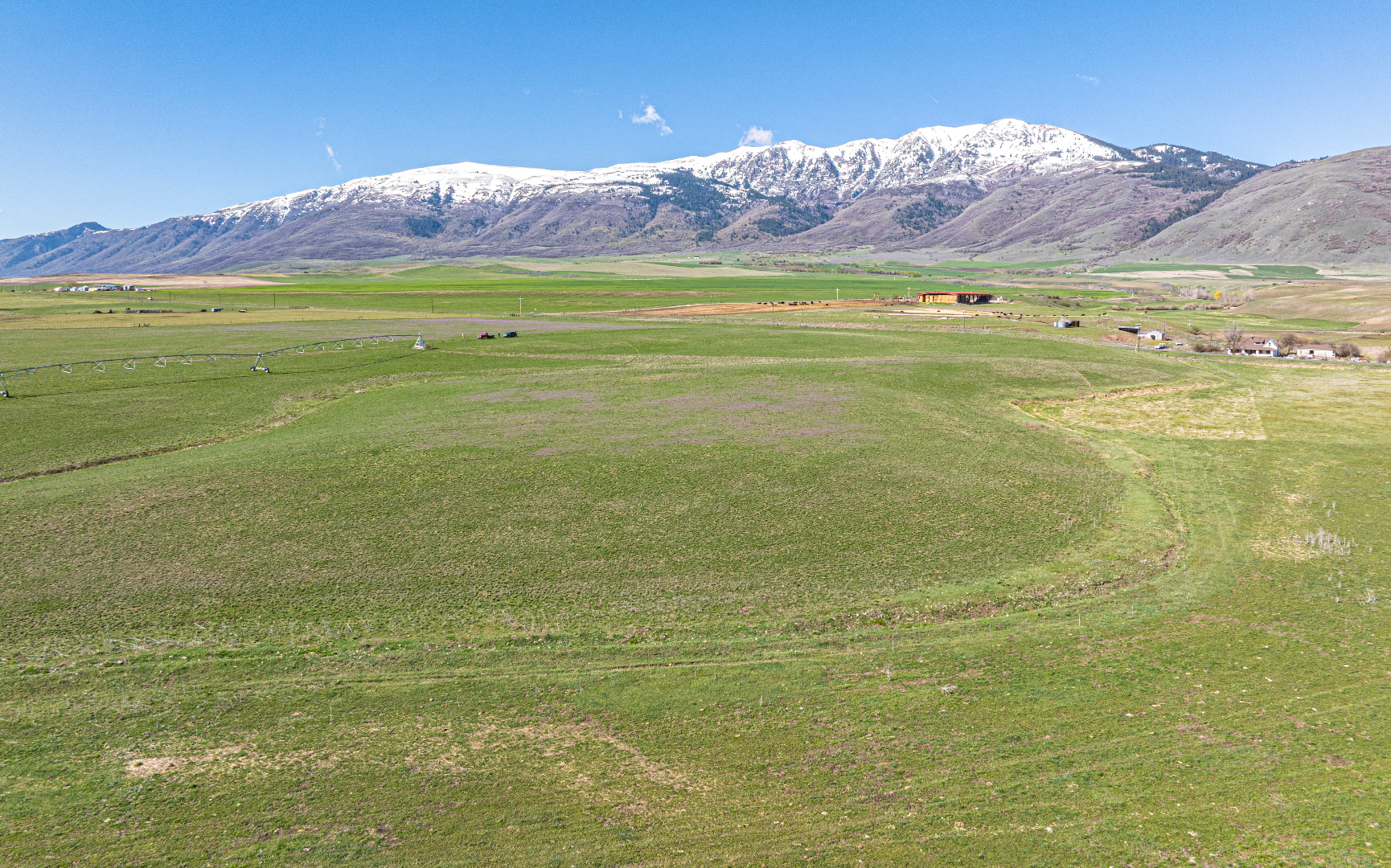 A snow-capped mountain range rises behind a wide, rolling green pasture under a clear blue sky.