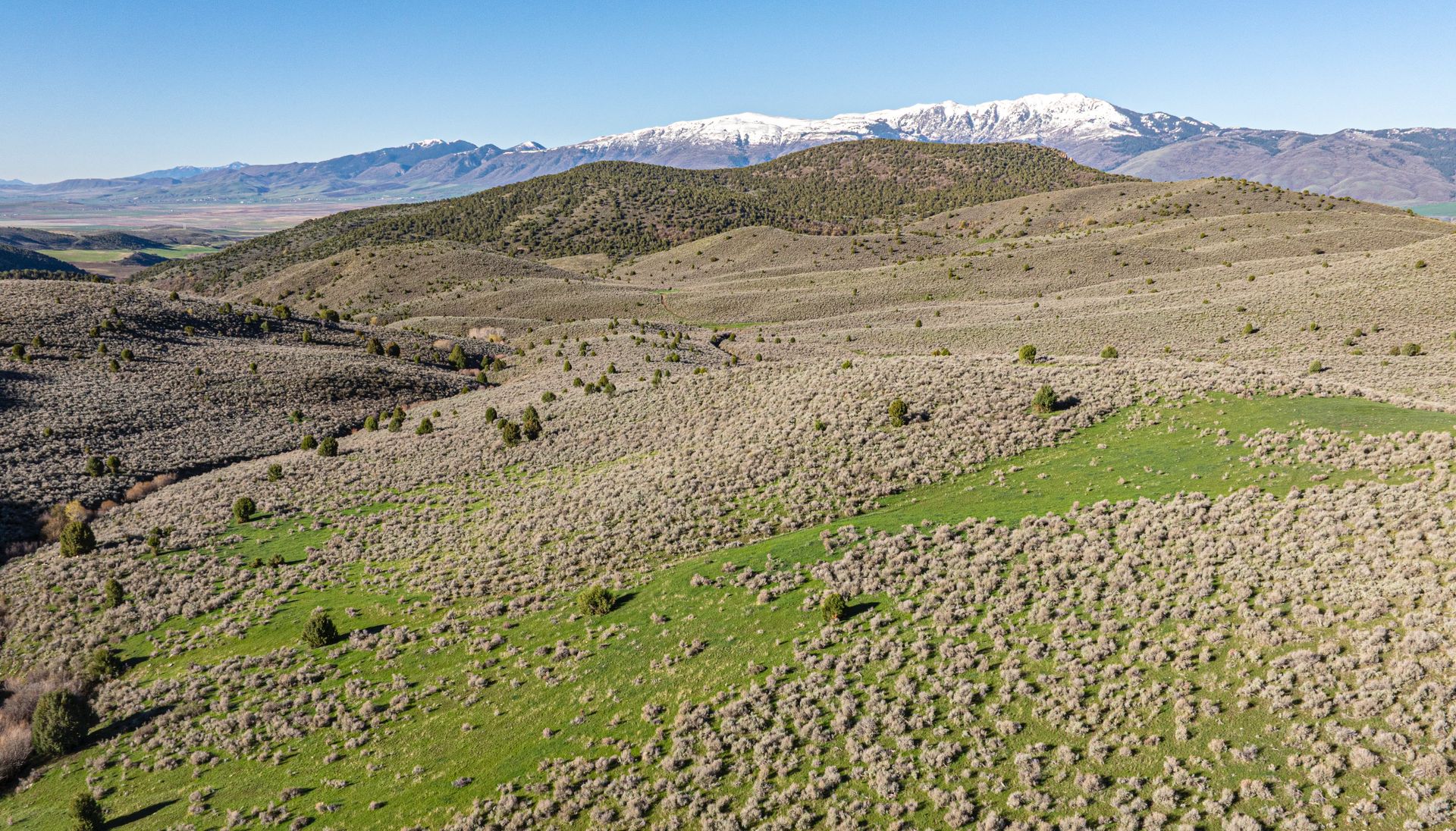 A vast, hilly, arid landscape with green patches and scrub brush, featuring snow-capped mountains under a clear blue sky.