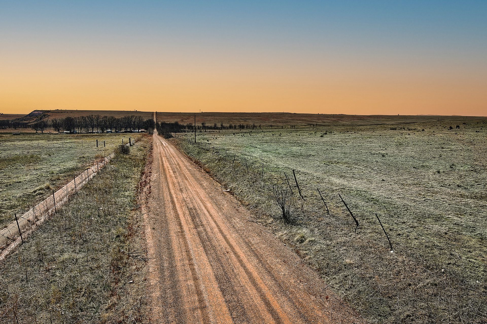 A dirt road going through a field of flowers at sunset.