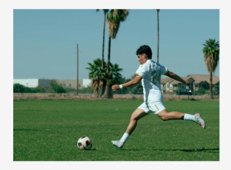 Soccer player in white uniform kicking a ball on a grassy field with palm trees in the background