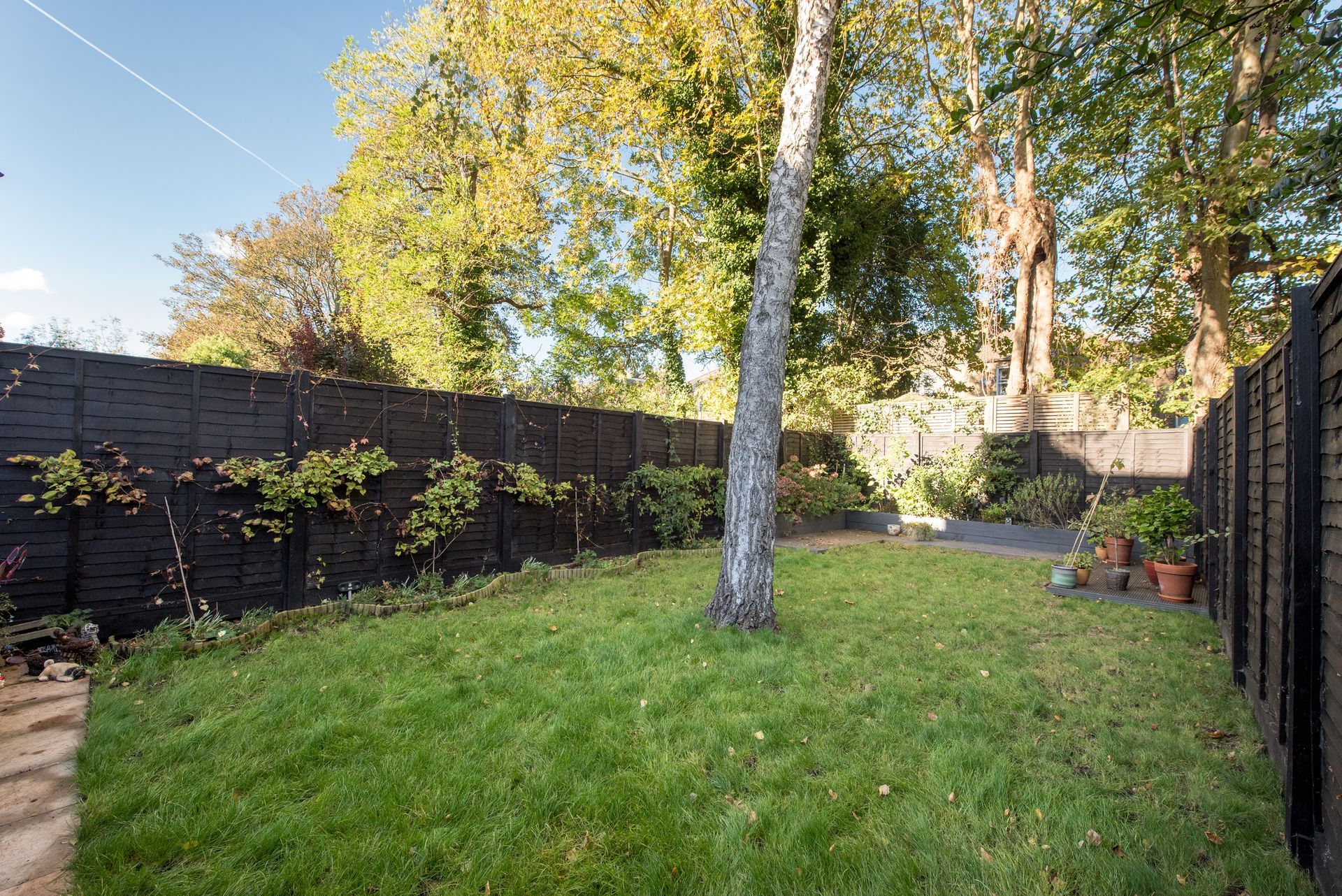 View of a backyard with a tree in the middle of the lawn.